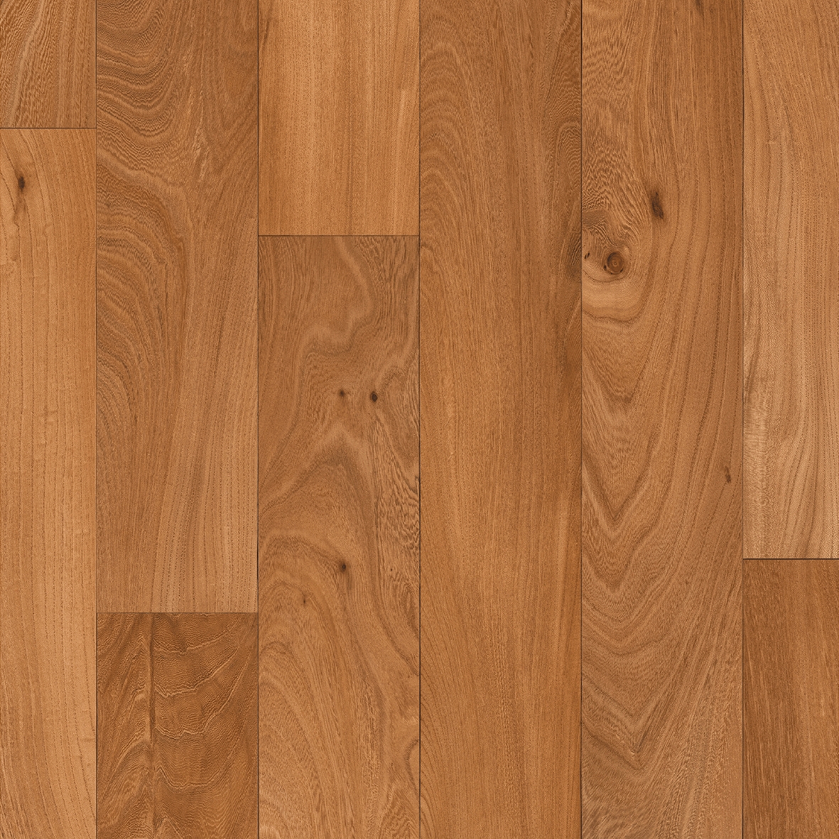 Produkt Concept 70 | Equador T45 des Herstellers IVC Commercial anzeigen