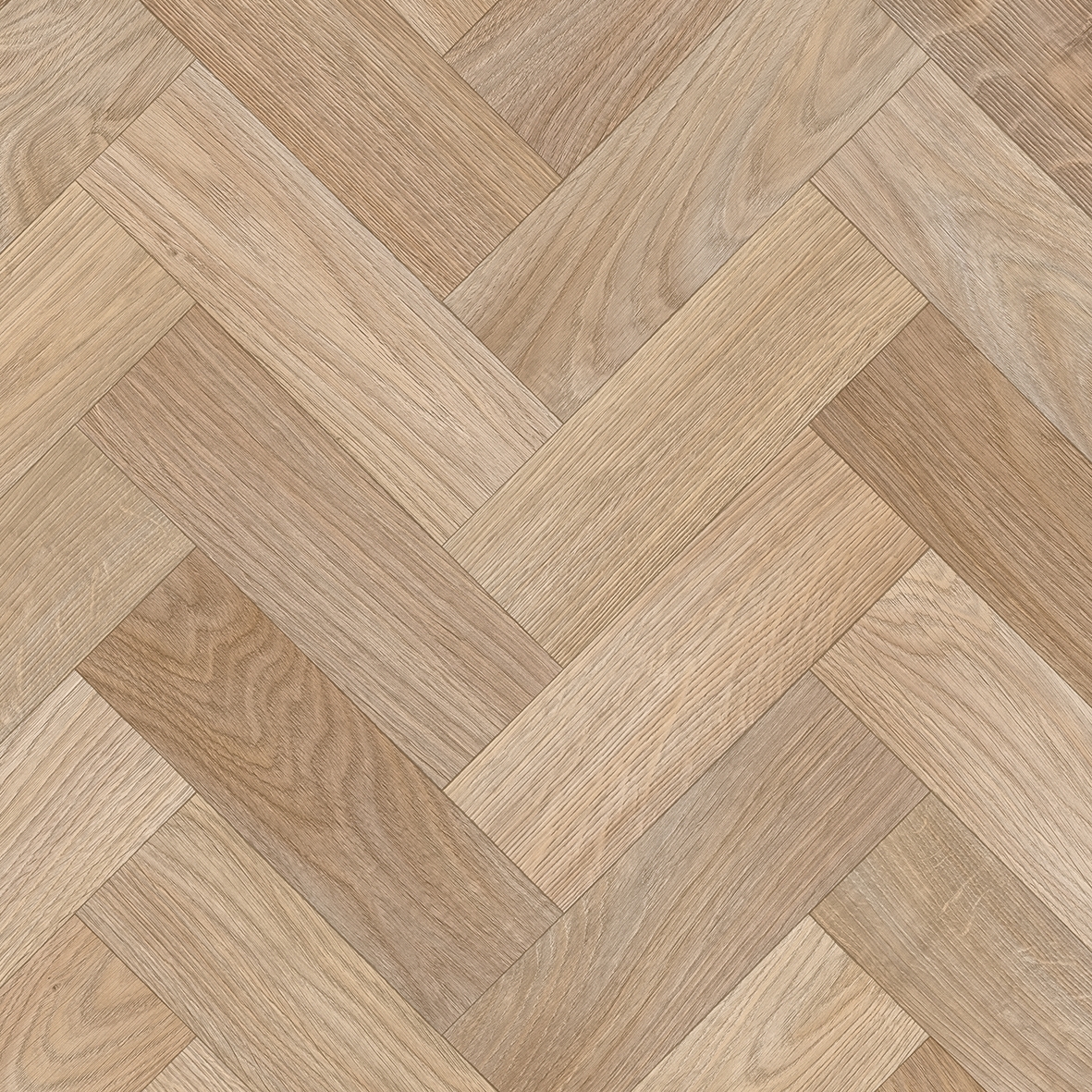 Mostra il prodotto Logitex Max | Sintra T36 del produttore IVC Commercial
