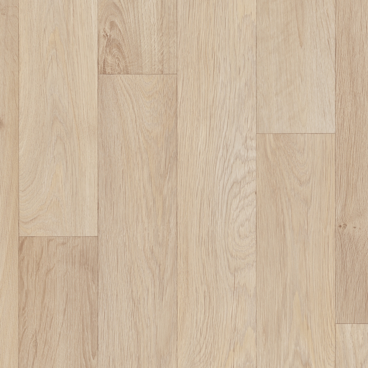 Vertoon produk Optimise 70 | Camargue T04 van vervaardiger IVC Commercial