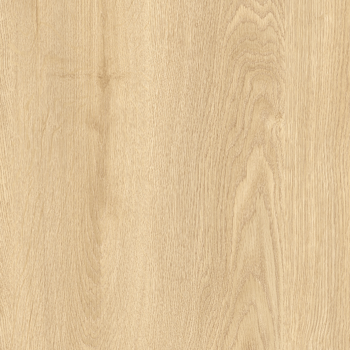 Vertoon produk Optimise 70 | Elias T32 van vervaardiger IVC Commercial