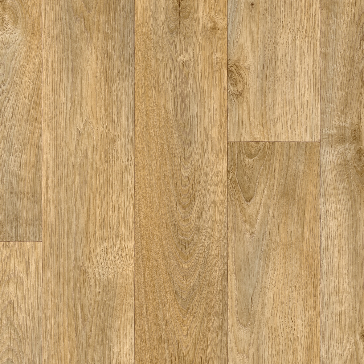 Silento 50 | Tavel T50