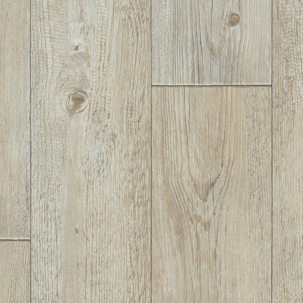 Tempo | Foxtail Pine W92