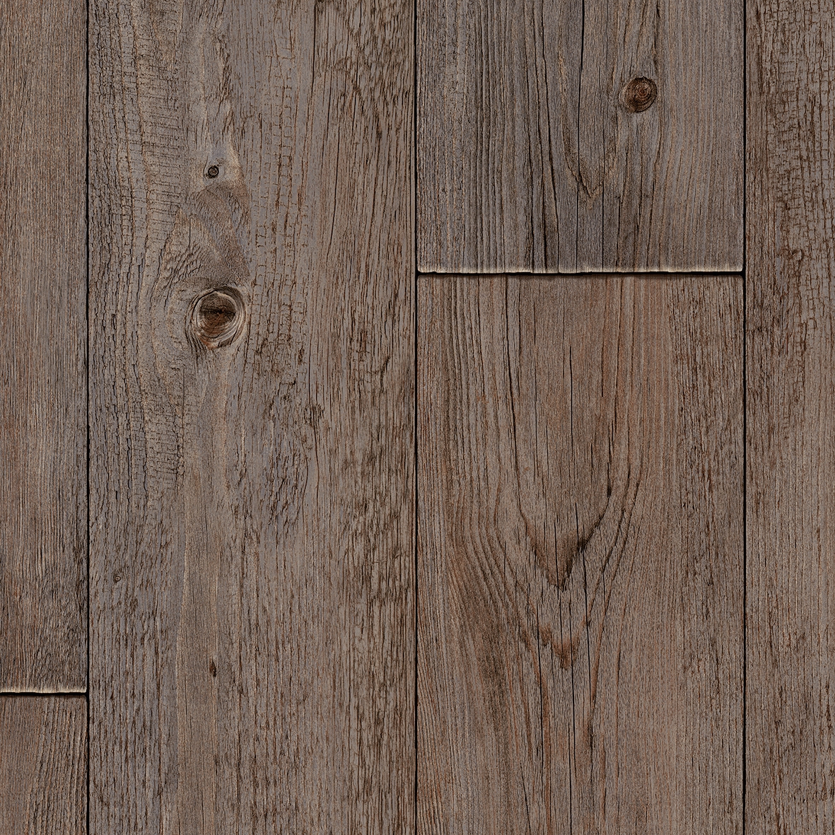 Tempo | Foxtail Pine W96