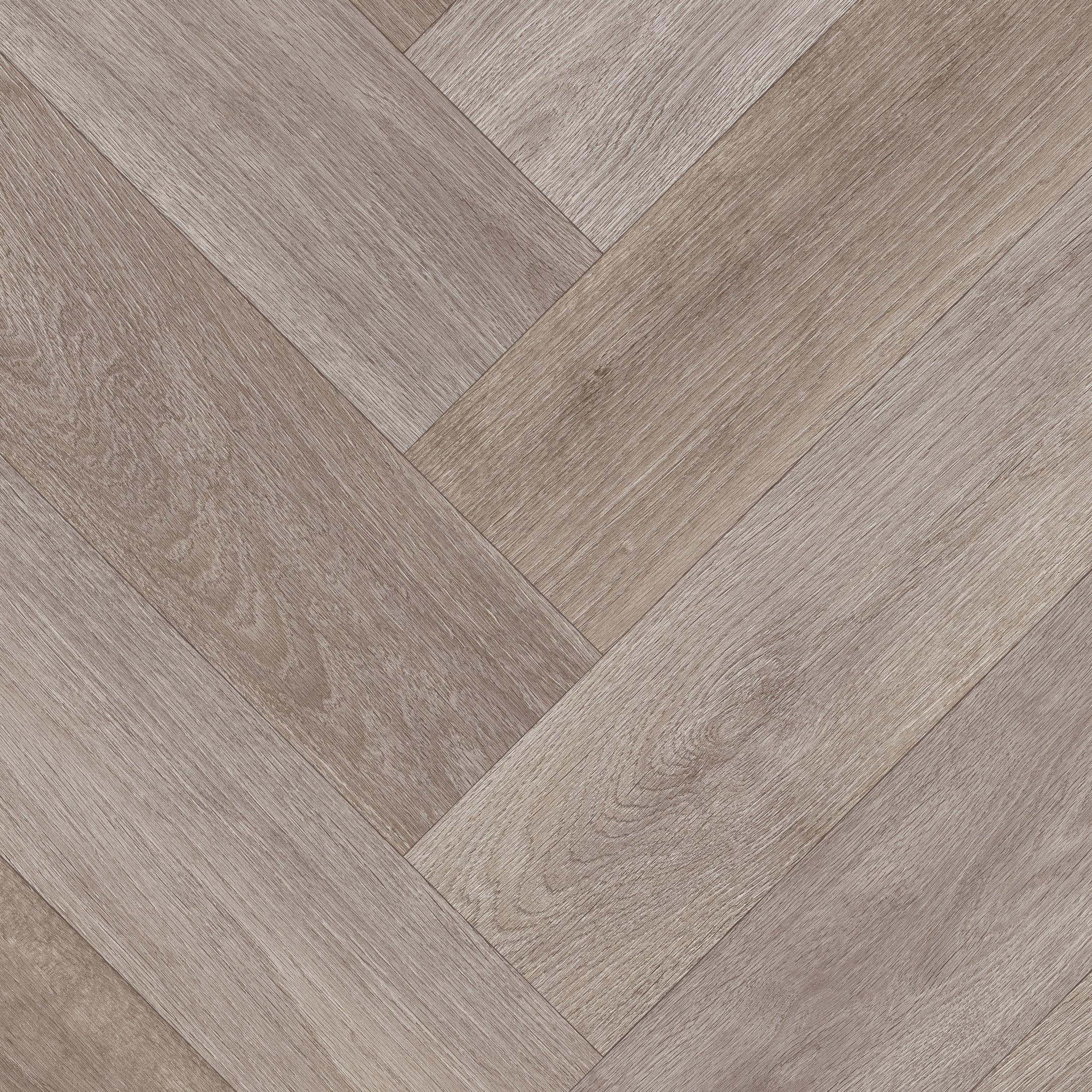 Tempo | Rosario Oak 694