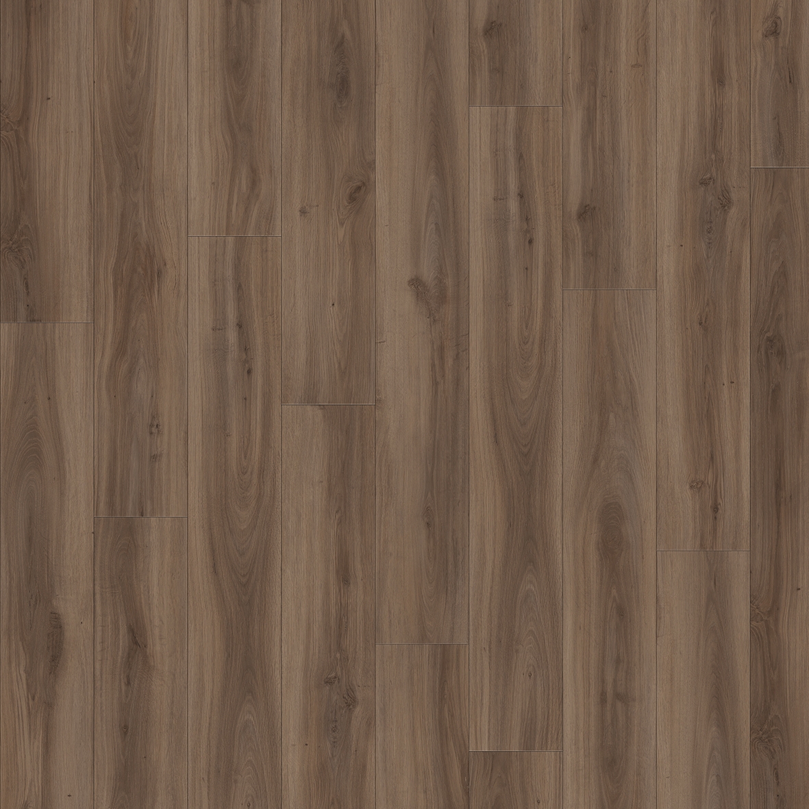 Moduleo 40 | Classic Oak 24864