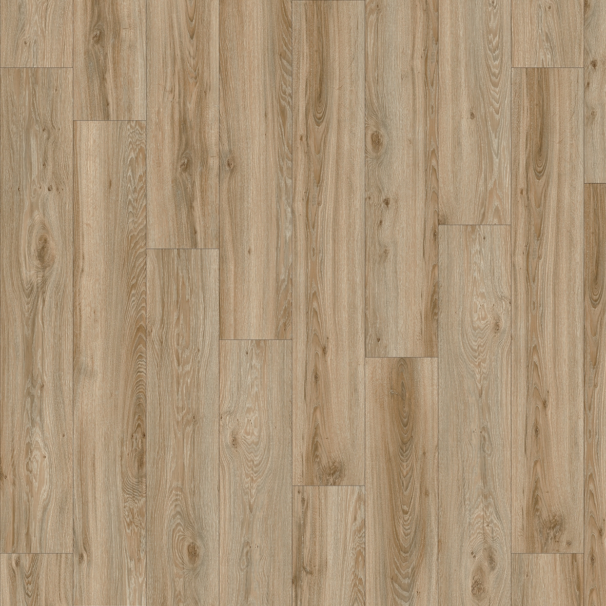 Moduleo 55 Woods | Blackjack Oak 22229