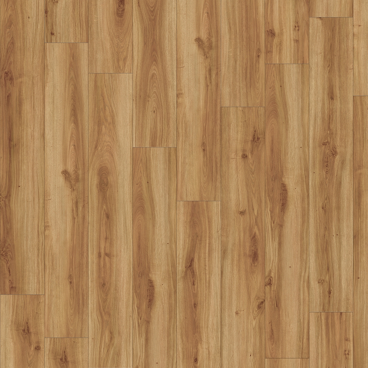 Moduleo 55 Woods | Classic Oak 24235