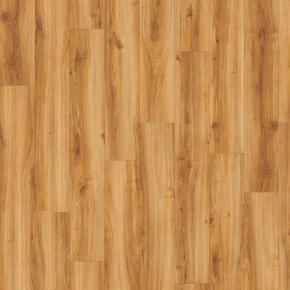Moduleo 55 Woods | Classic Oak 24438