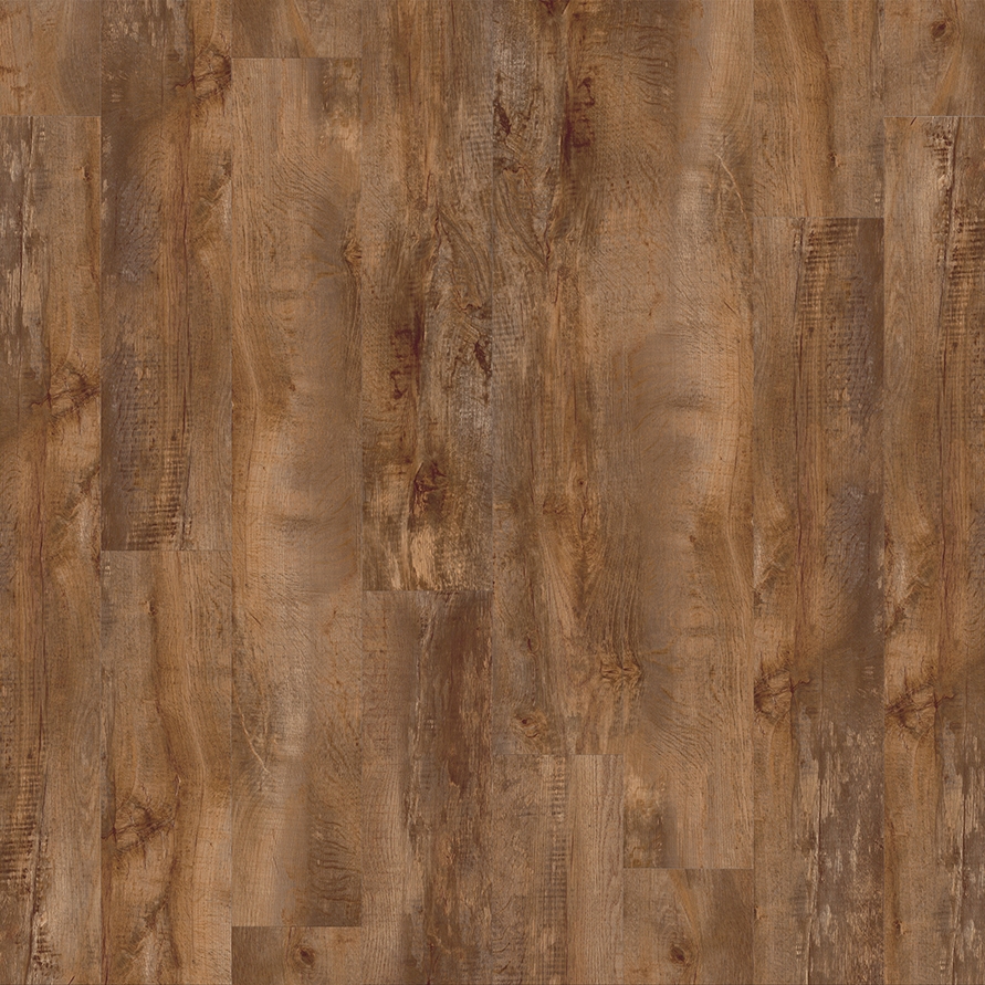 Moduleo 55 Woods | Country Oak 24456
