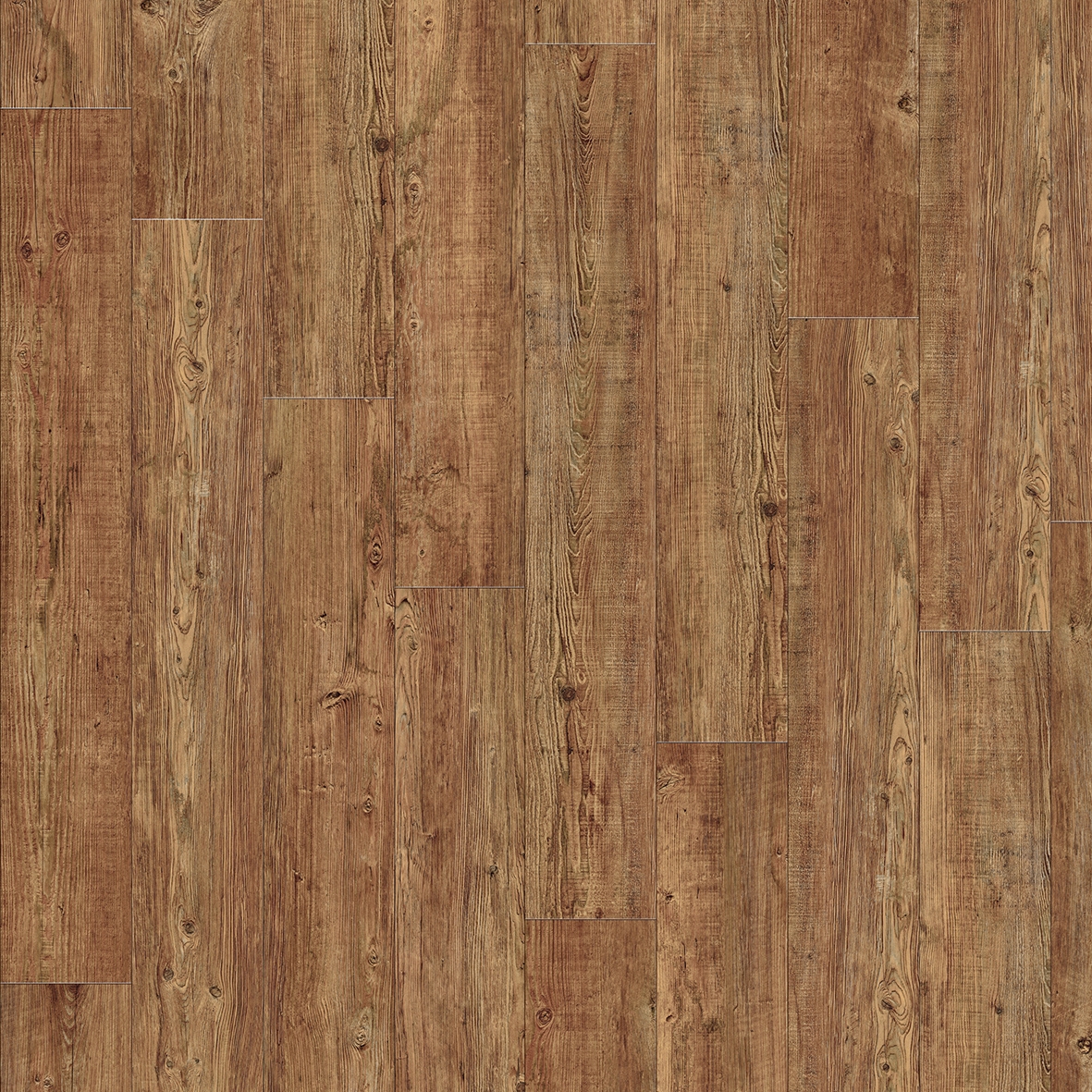 Moduleo 55 Woods | Latin Pine 24874