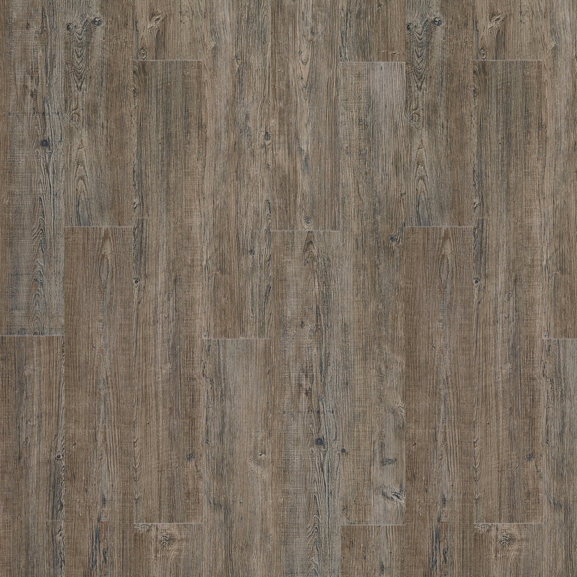 Moduleo 55 Woods | Latin Pine 24868