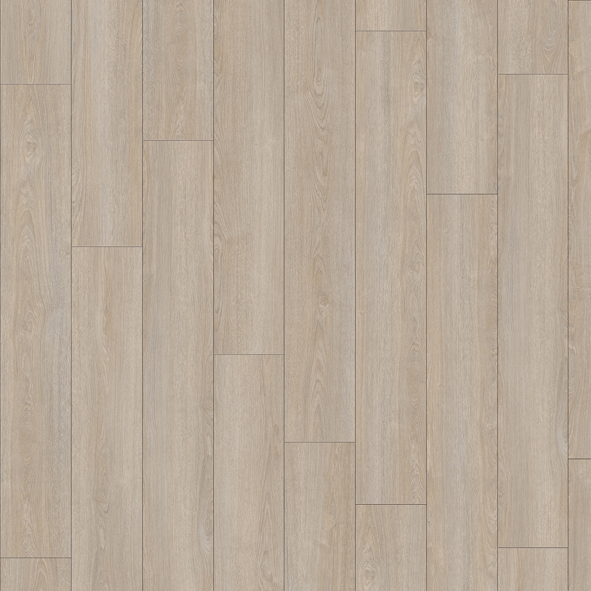 Moduleo 55 Woods | Verdon Oak 24232