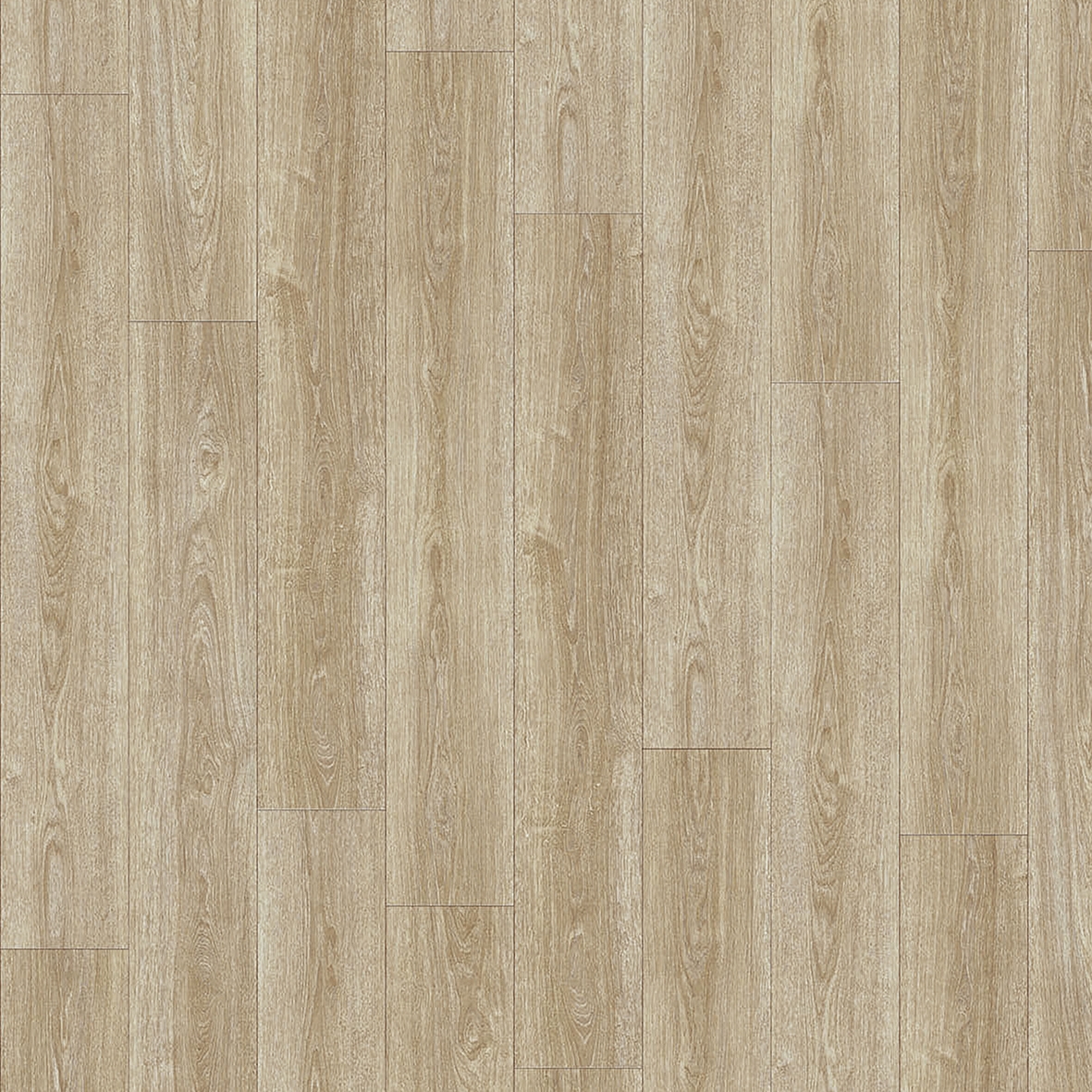 Moduleo 55 Woods | Verdon Oak 24280