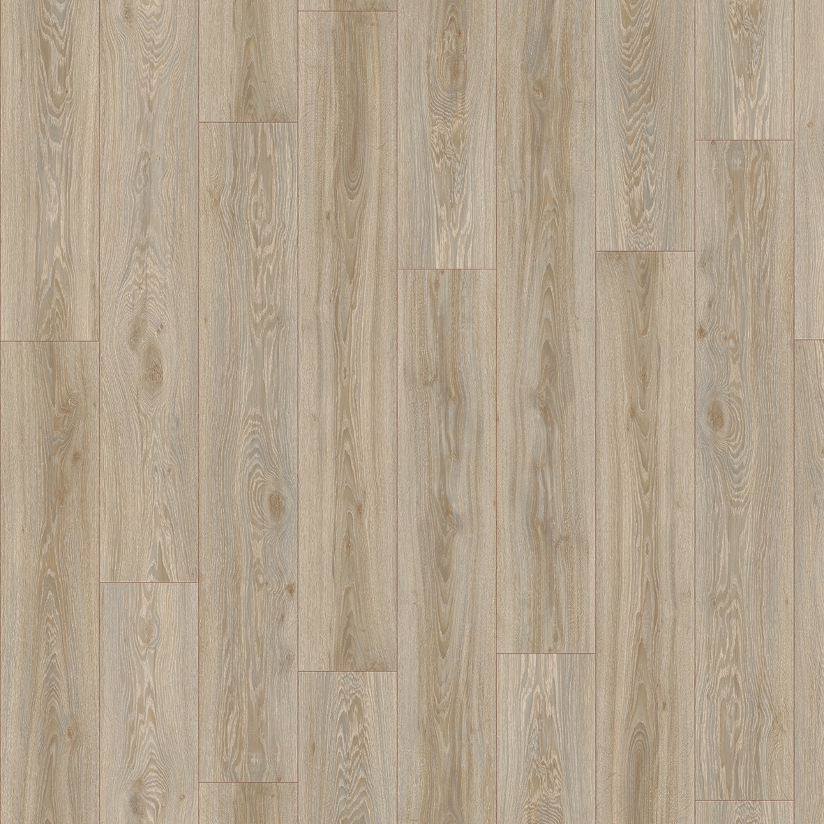 Layred 55 | Blackjack Oak 22246