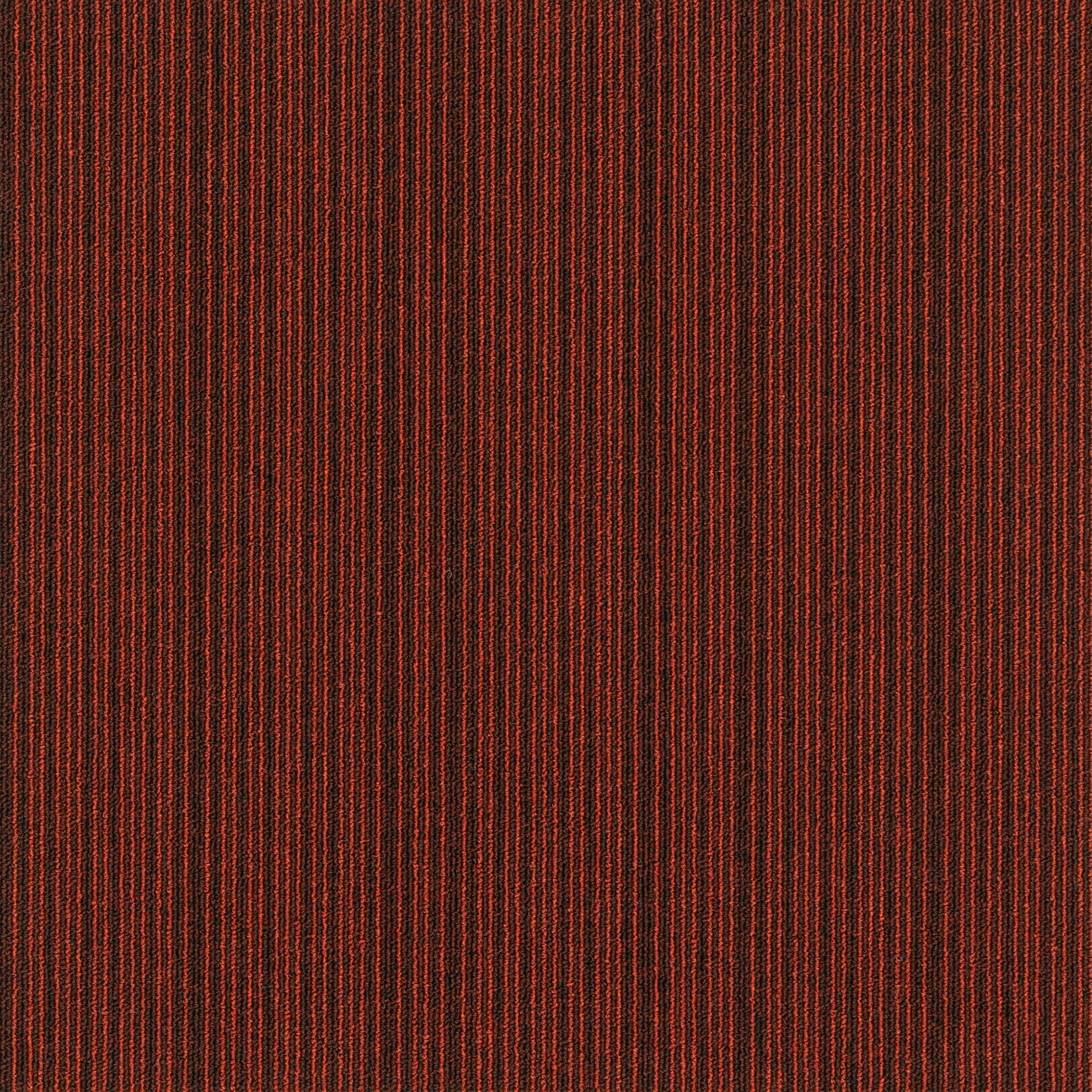 Art Intervention | Expansion Point 363