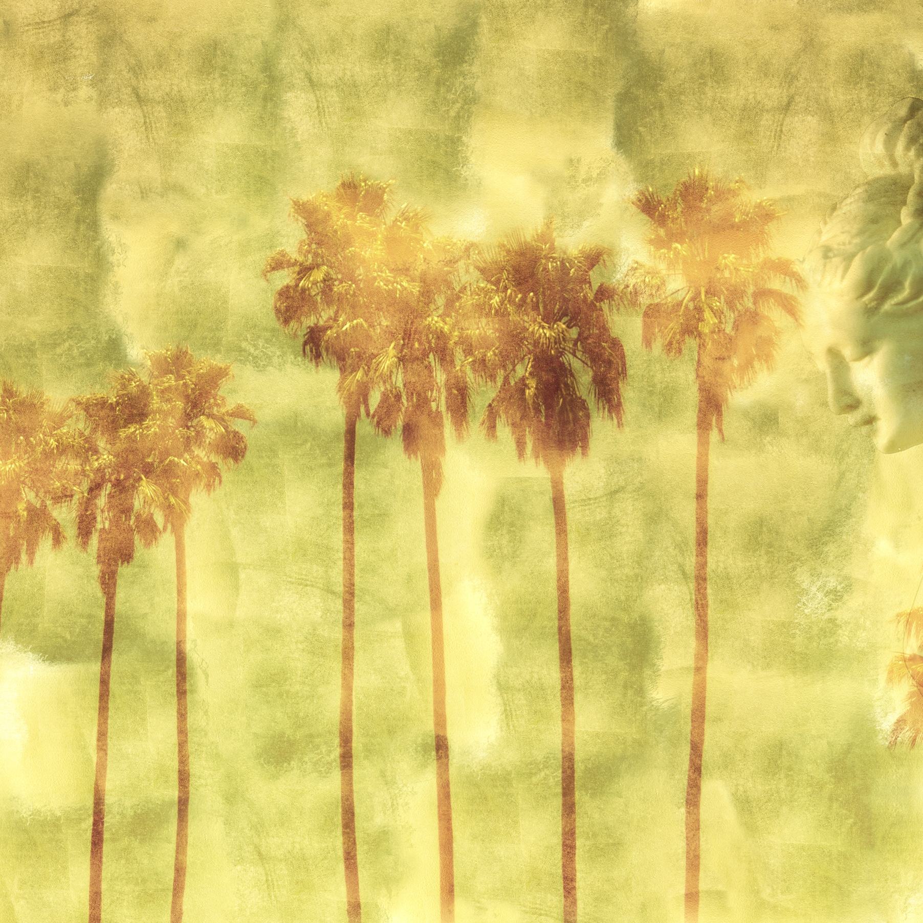 Mostra il prodotto Forgotten beauty | Looking for Venus del produttore Walls beyond