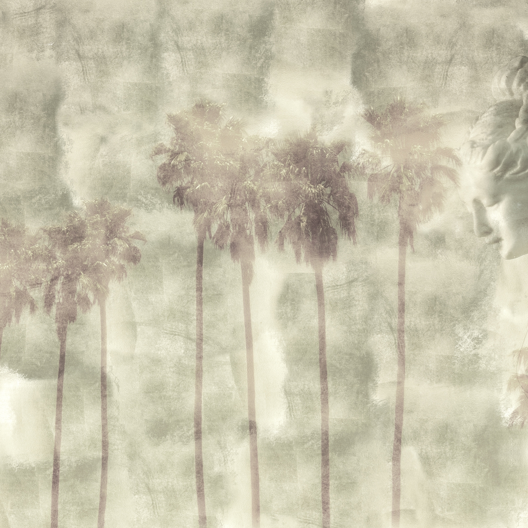 Forgotten beauty | Looking for Venus_desaturated
