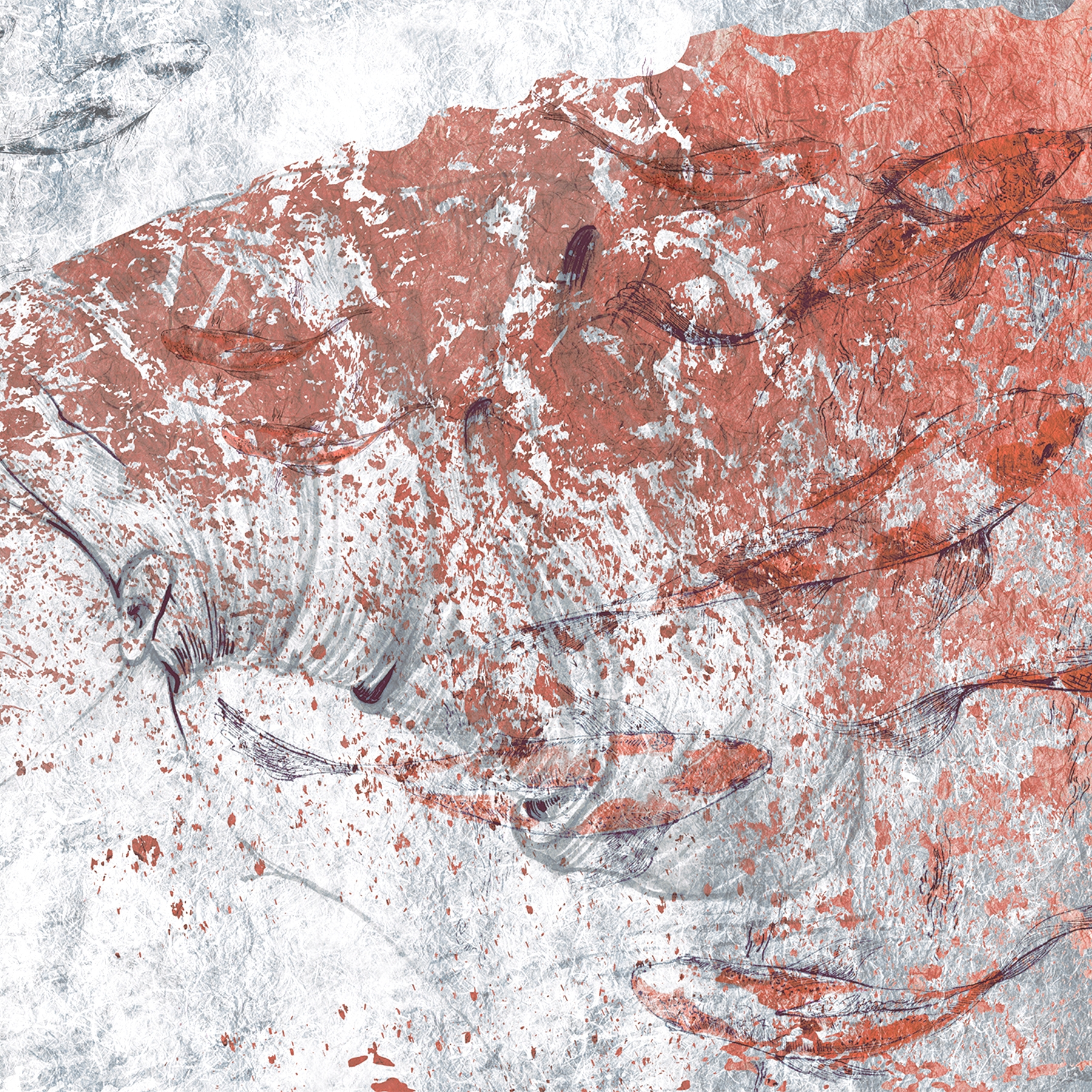 Forgotten beauty | The Princess from the Gold river_coral