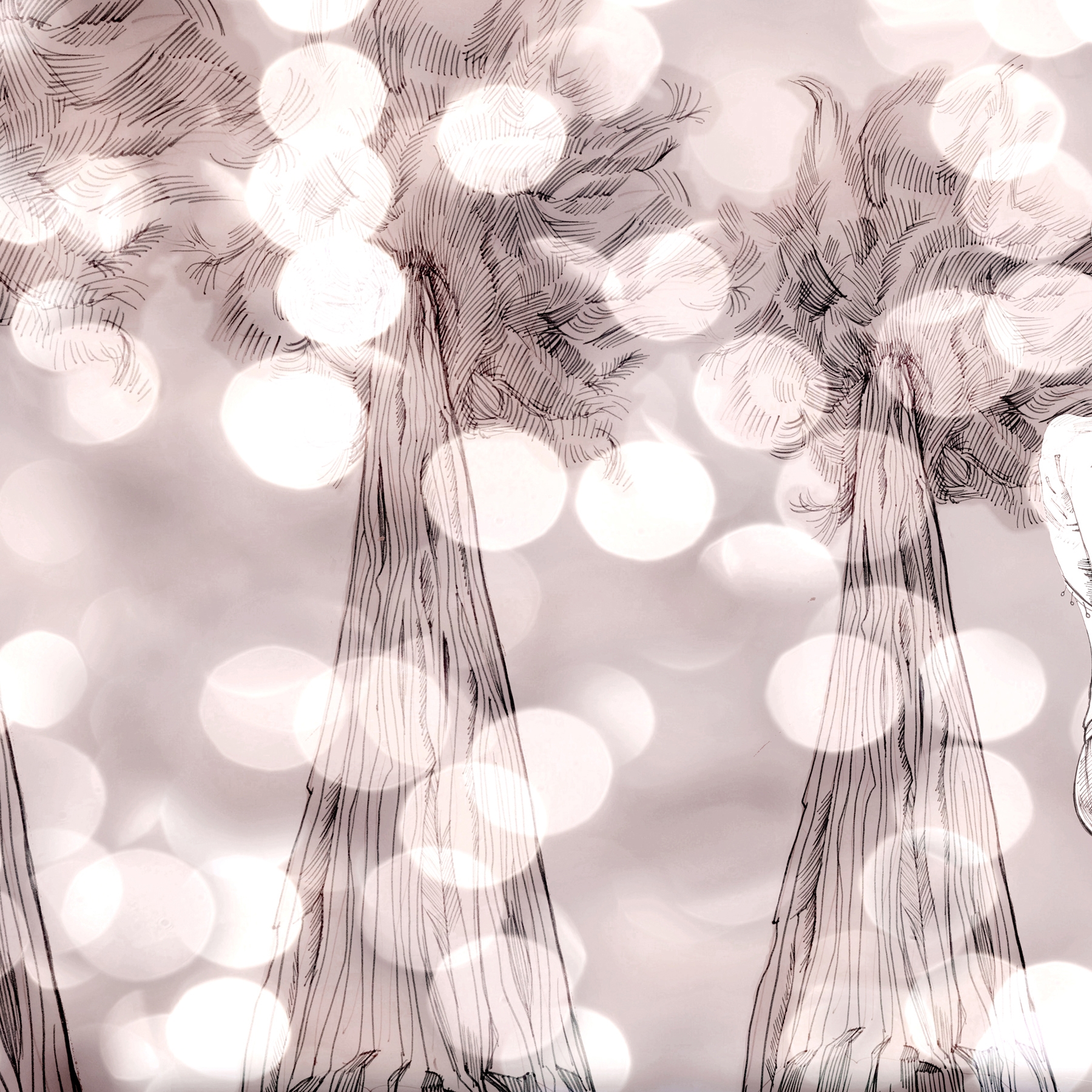 Forgotten beauty | The Sunset Goddess_night