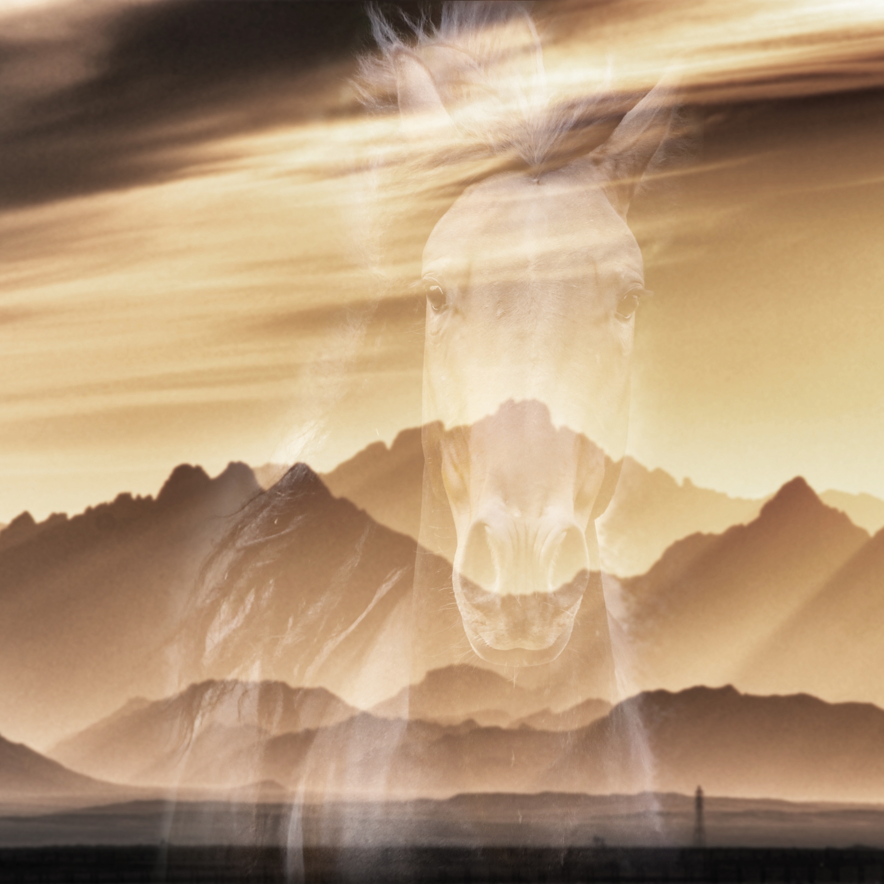 Mostra il prodotto Learning to admire | Born to be free del produttore Walls beyond