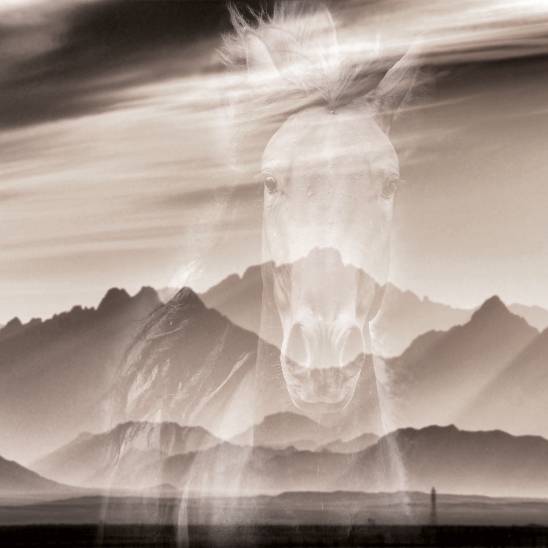 Learning to admire | Born to be free_desaturated