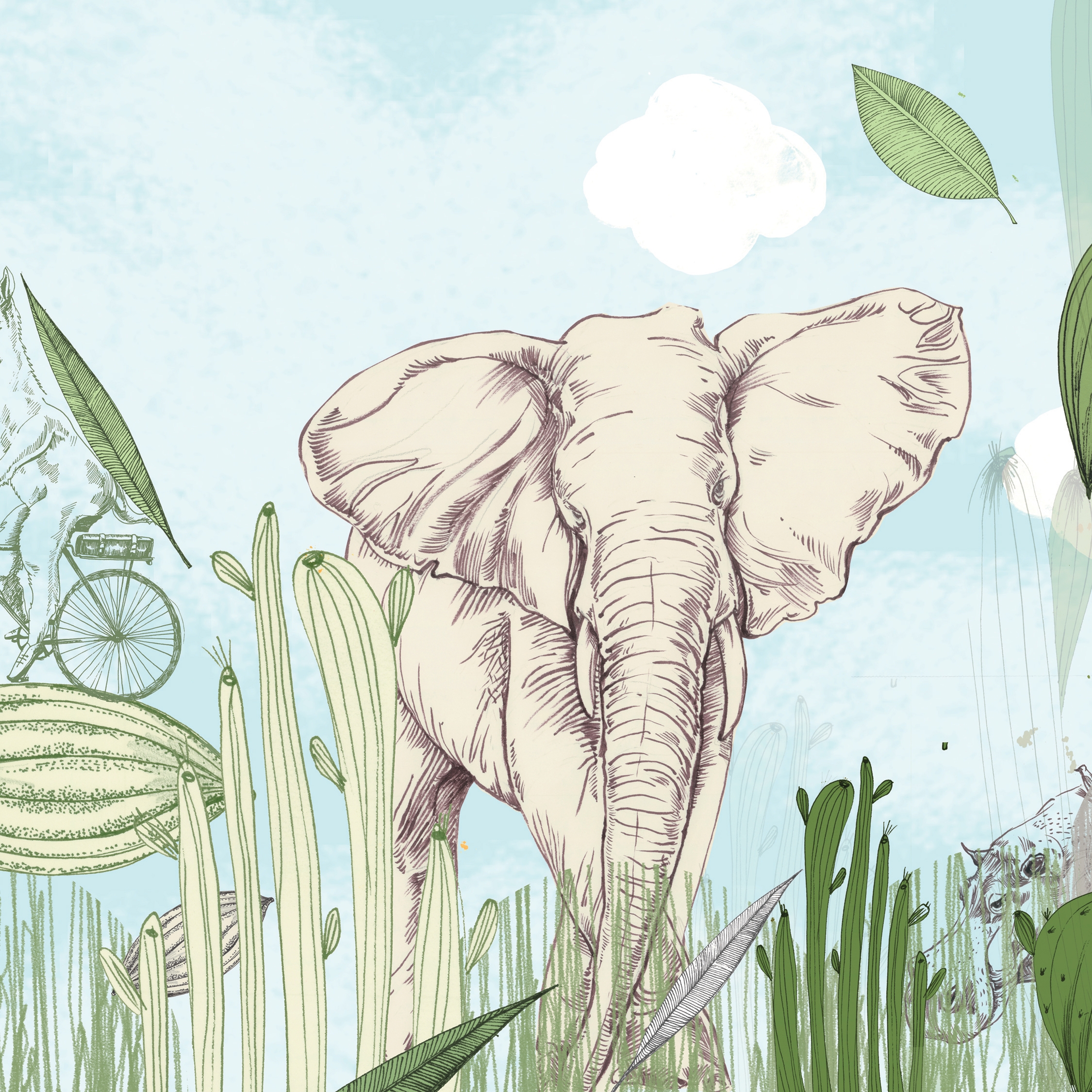 Learning to admire | Far and away_green