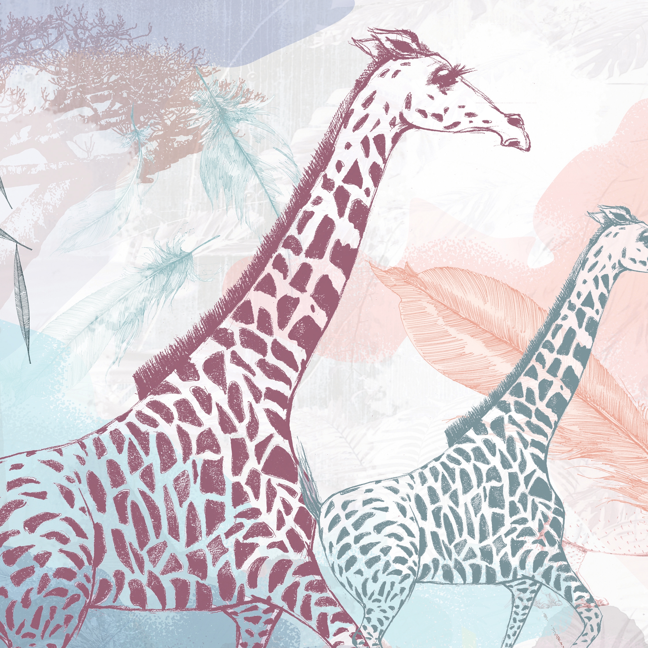 Learning to admire | My personal savanna_sunset