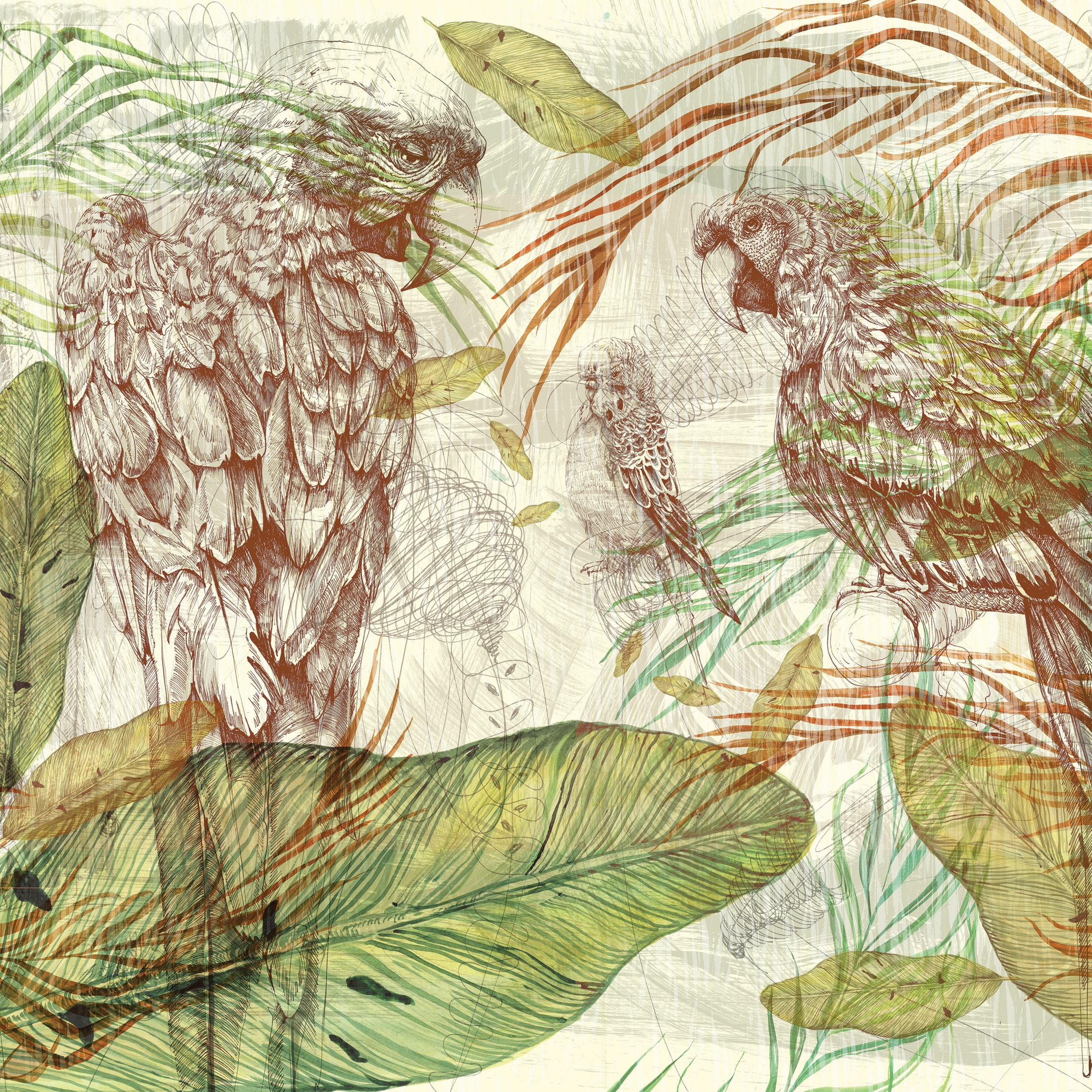 Mostra il prodotto Learning to admire | Parrot song del produttore Walls beyond