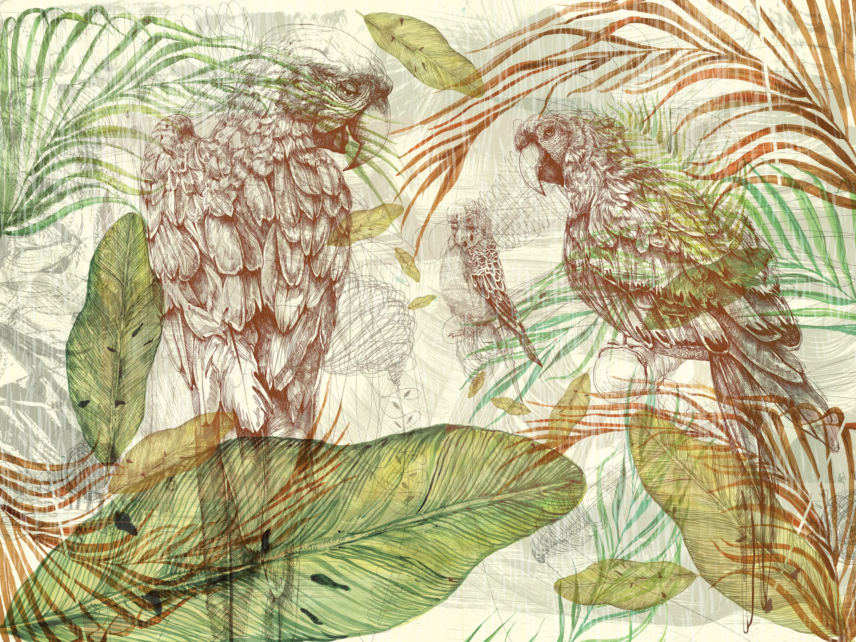 Walls beyond - Learning to admire | Parrot song