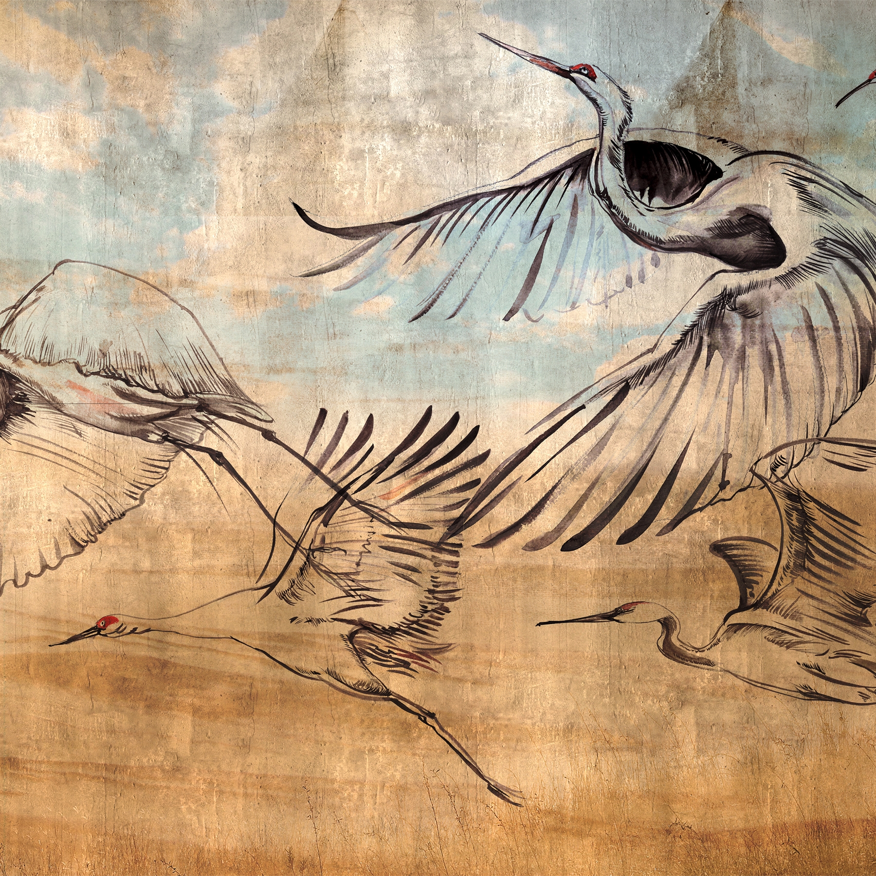 Mostra il prodotto Learning to admire | The forever flock del produttore Walls beyond