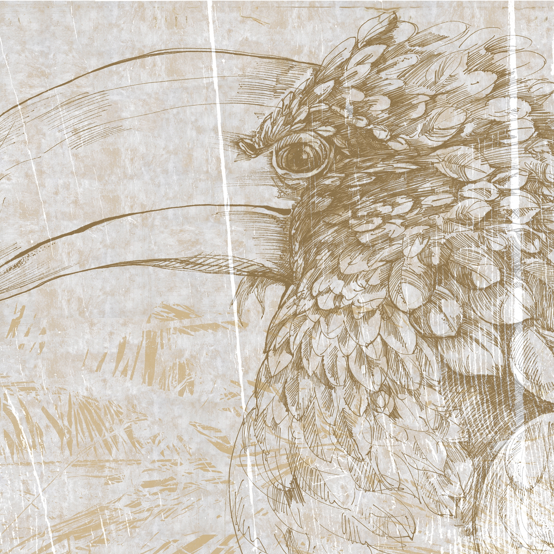 Learning to admire | The higher creation_gold