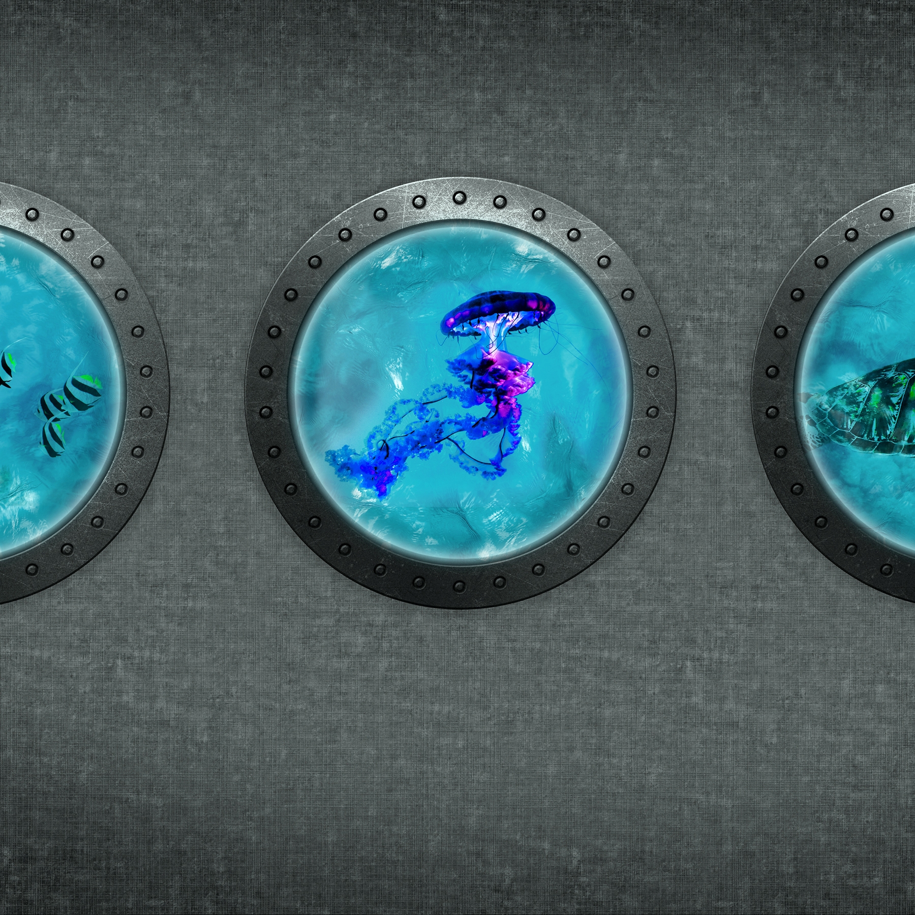 Learning to admire | Twenty thousand leagues under the sea_turquoise