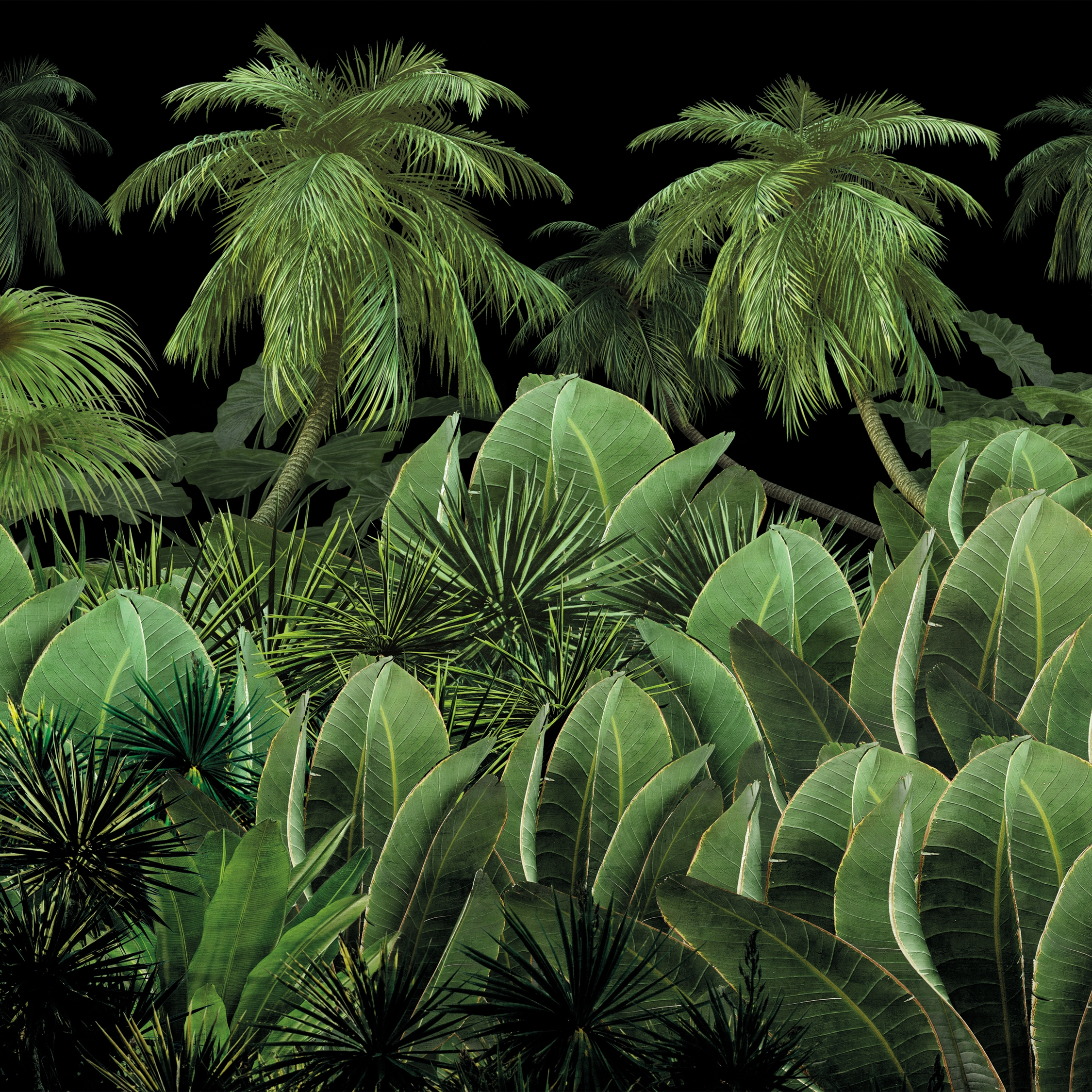 Mostra il prodotto Scent of silence | A night in the jungle del produttore Walls beyond