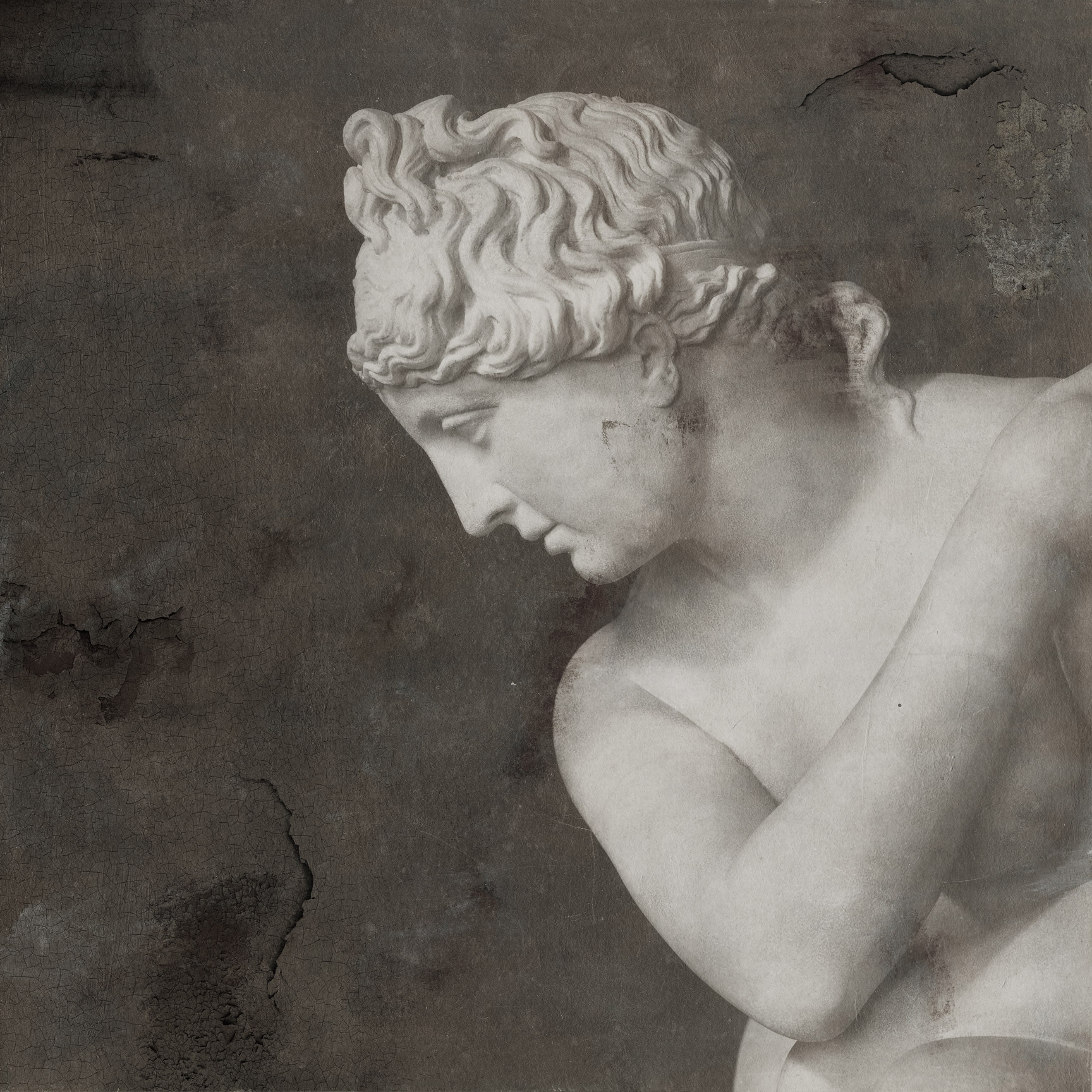 Display product Emotion | Venus from manufacturer Walls beyond