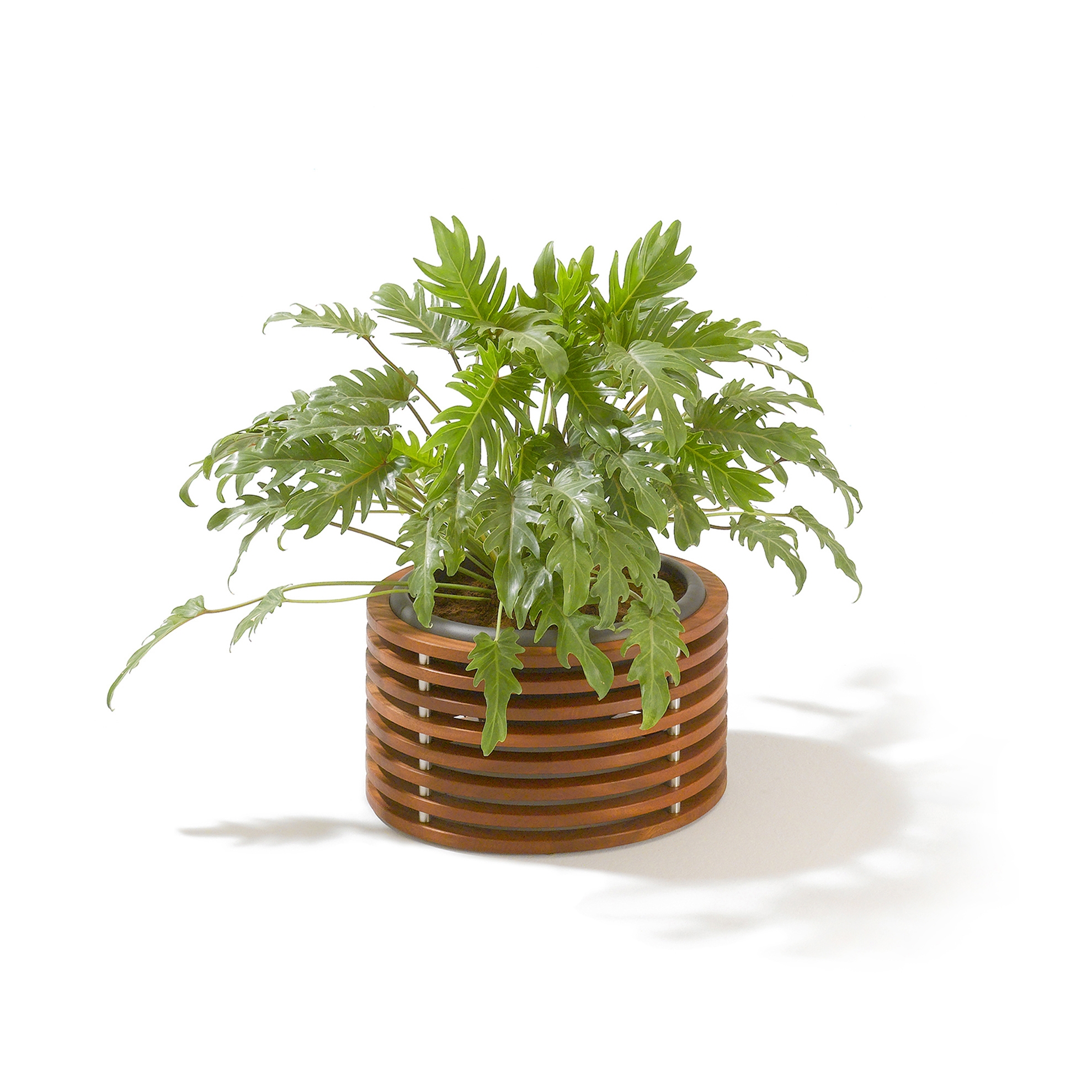 Produkt Seóra | Osianna Planter des Herstellers Seóra anzeigen