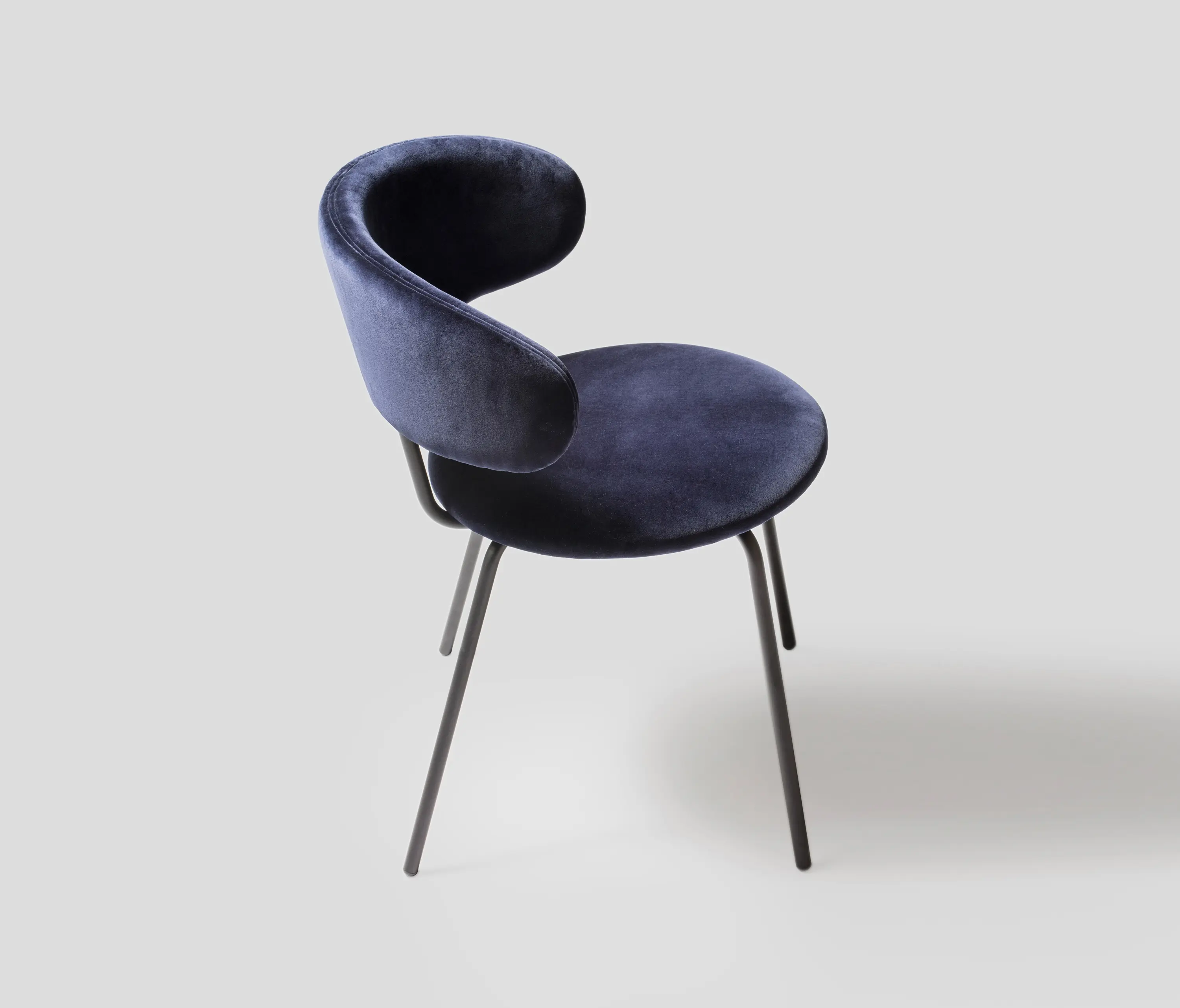 LIVONI 1895 - birba