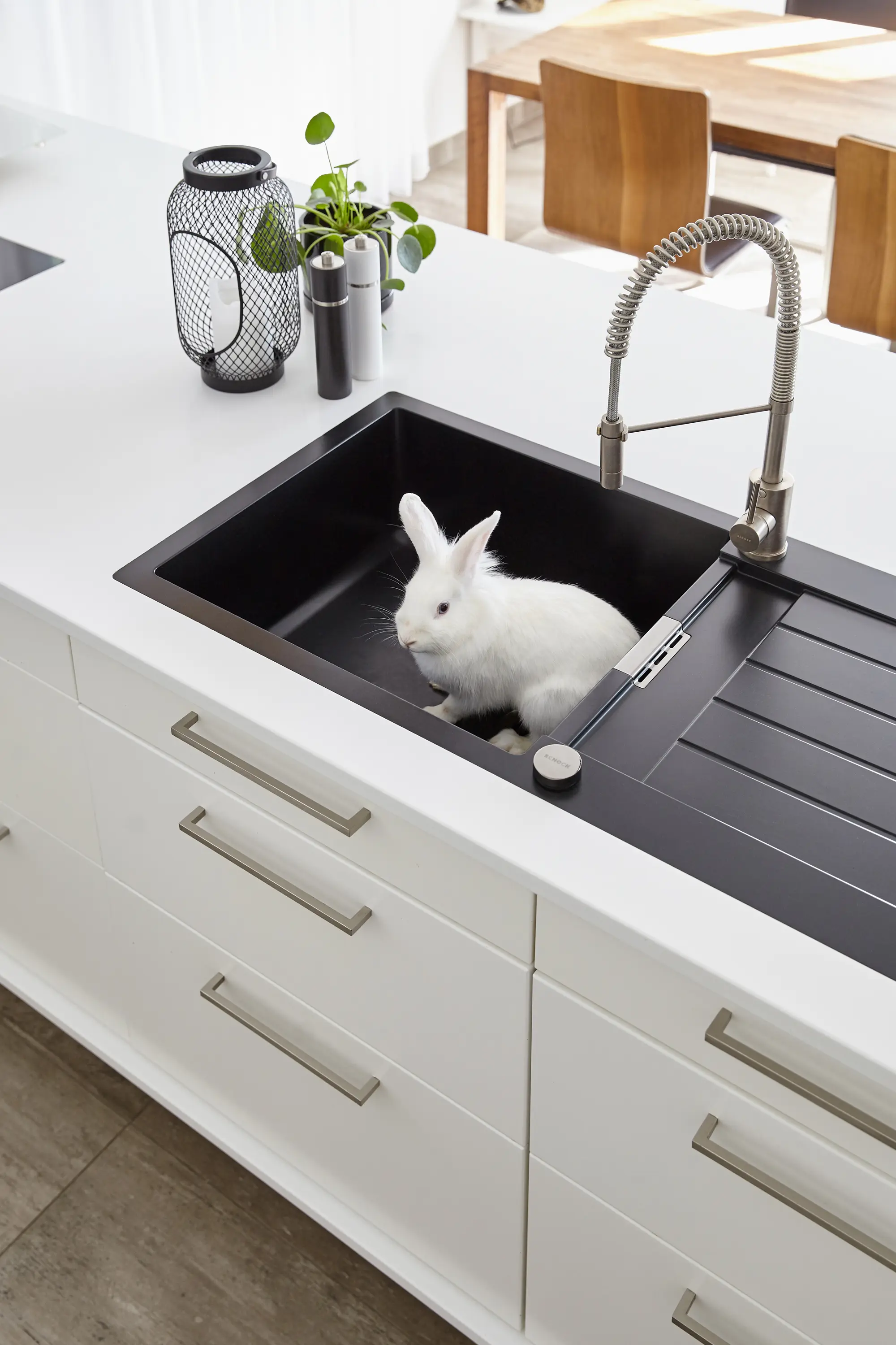 Schock - Signus D-150 - Magma