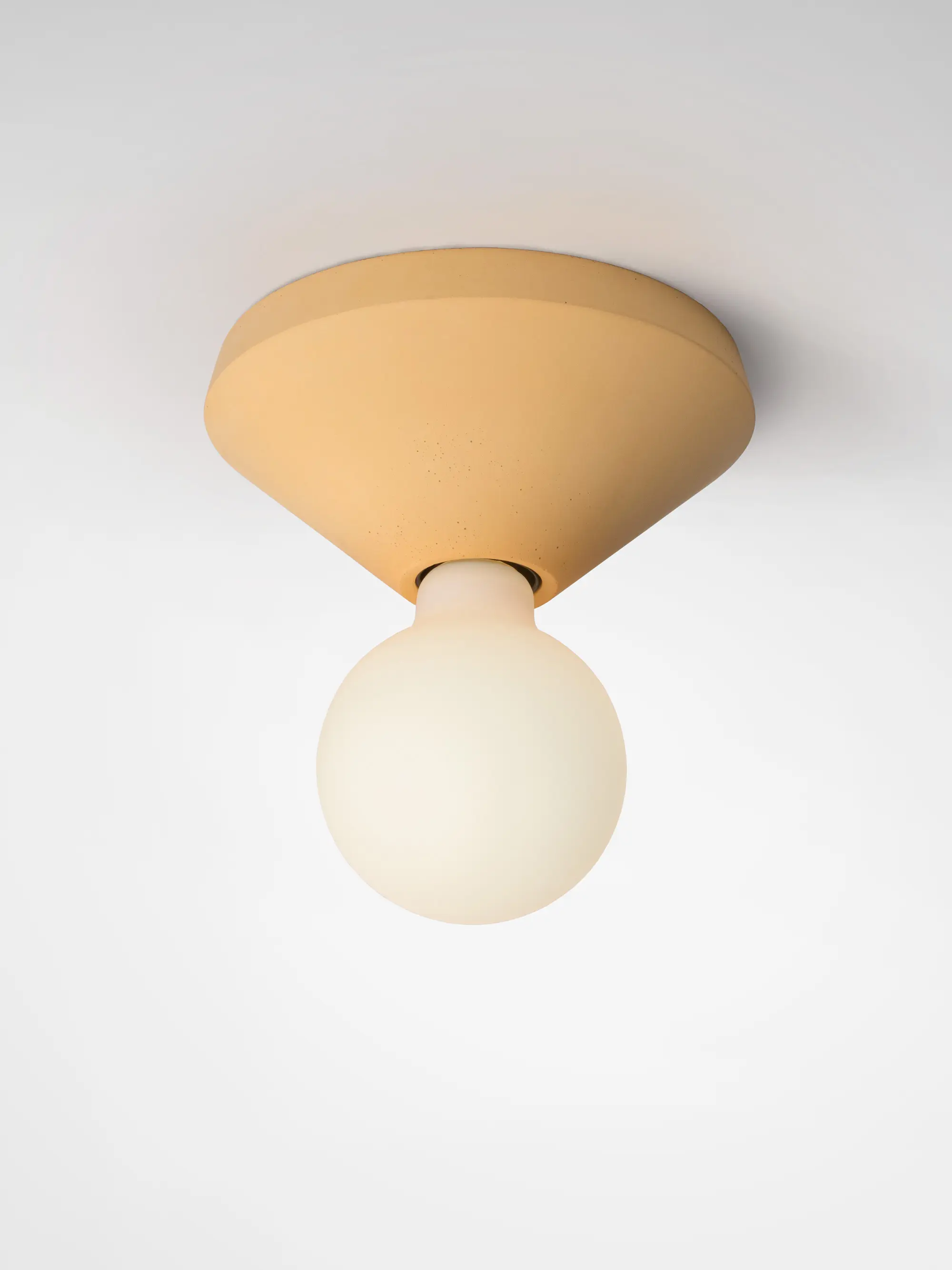 Plato Design - Ada wall and ceiling