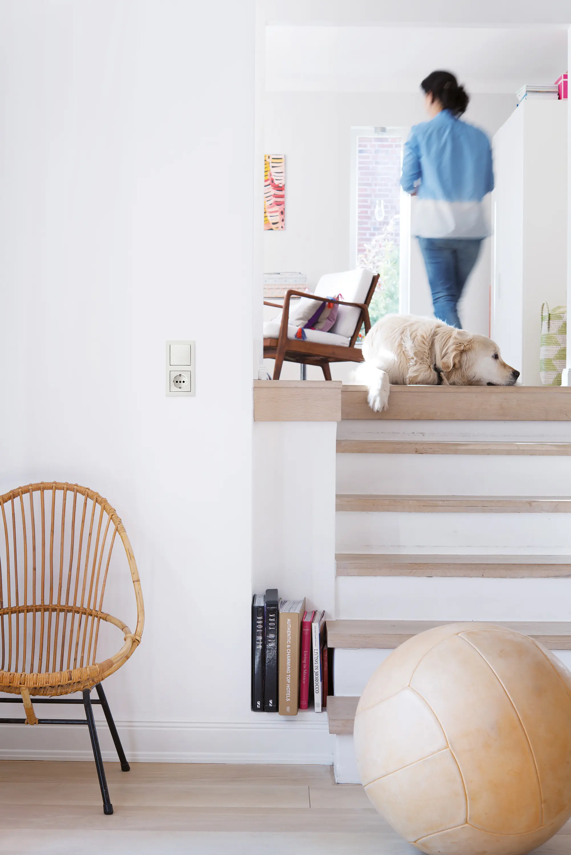 Hager - Berker S.1 Steckdose