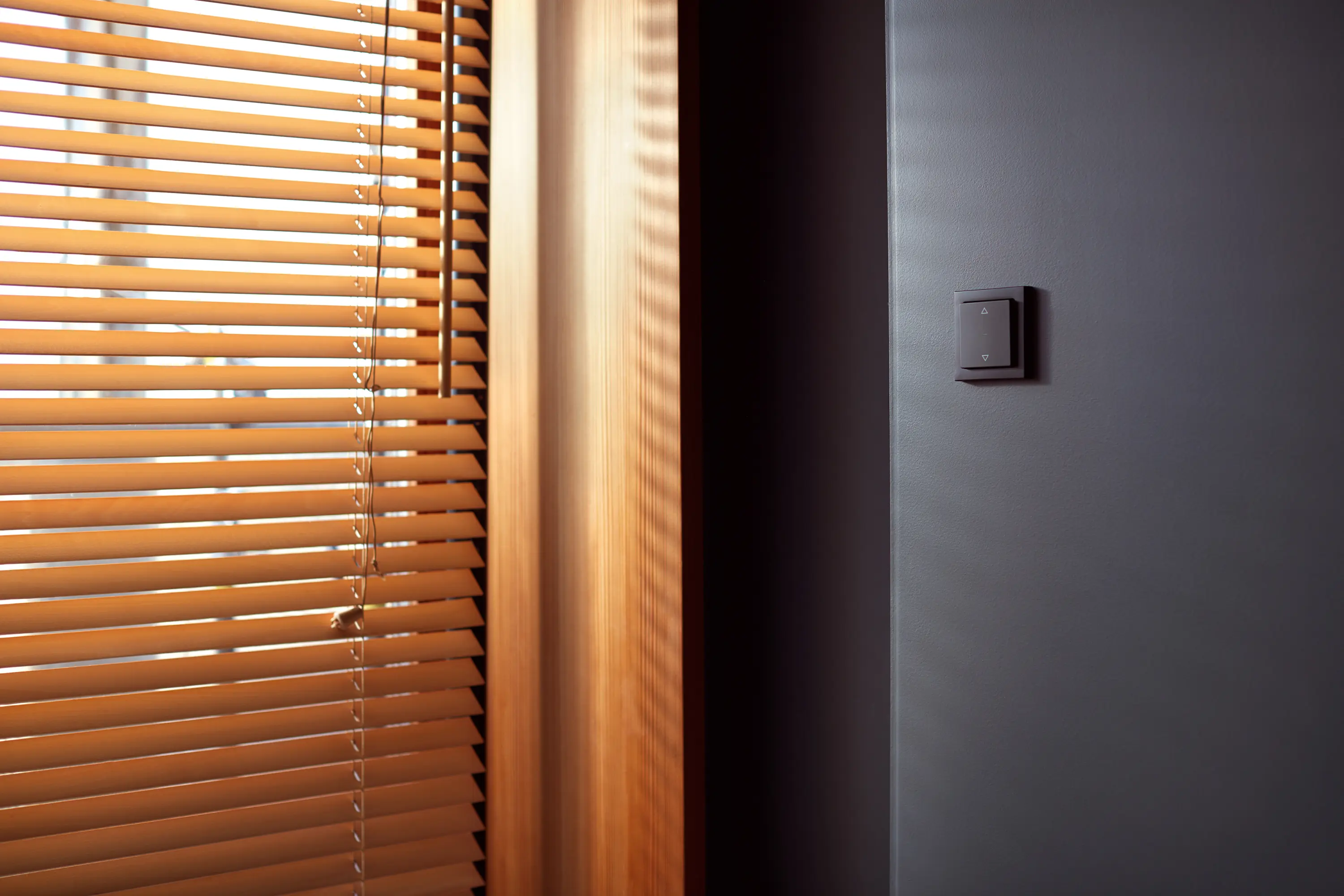 Hager - Berker R.1 Schalter Jalousiesteuerung