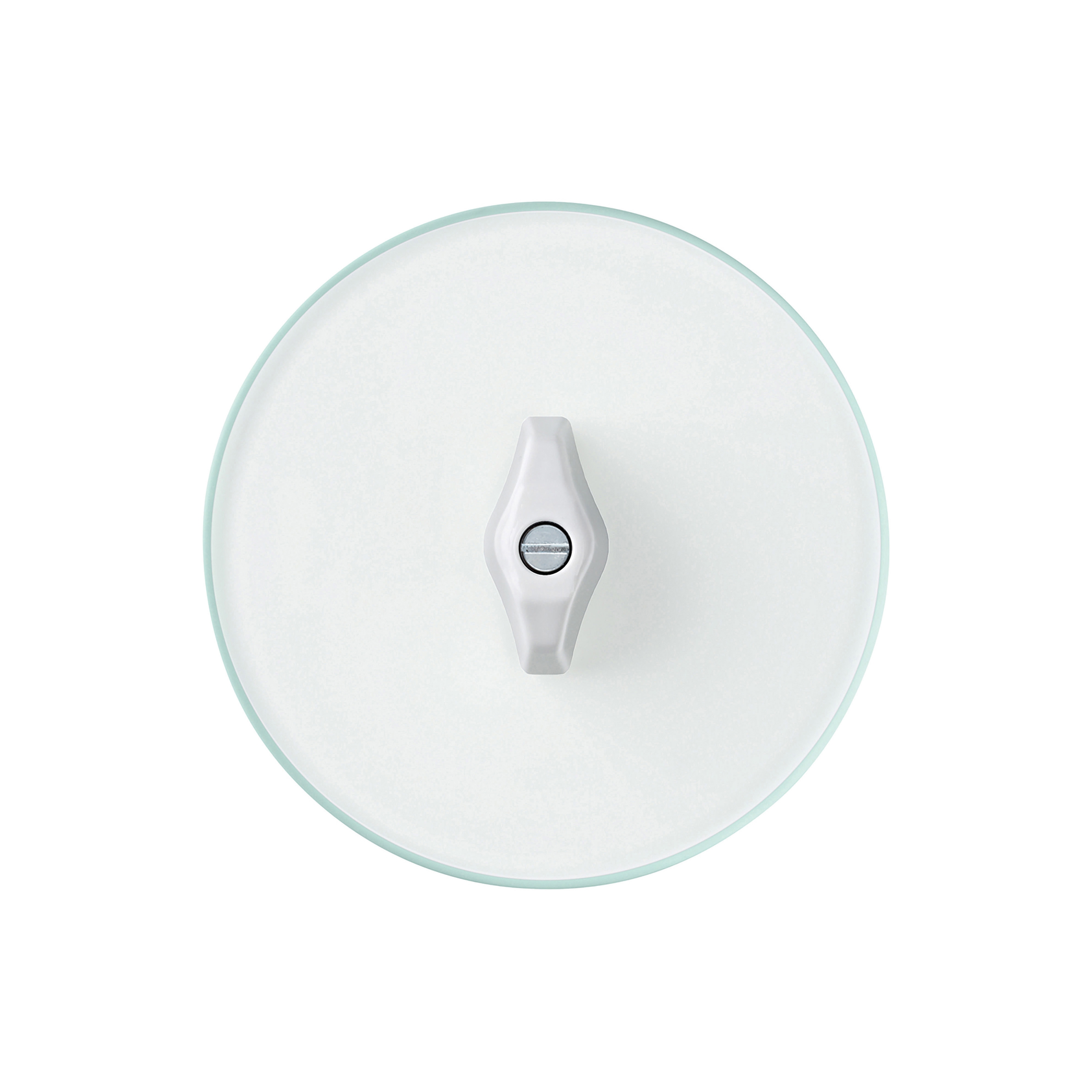 Berker Serie Glas Schalter