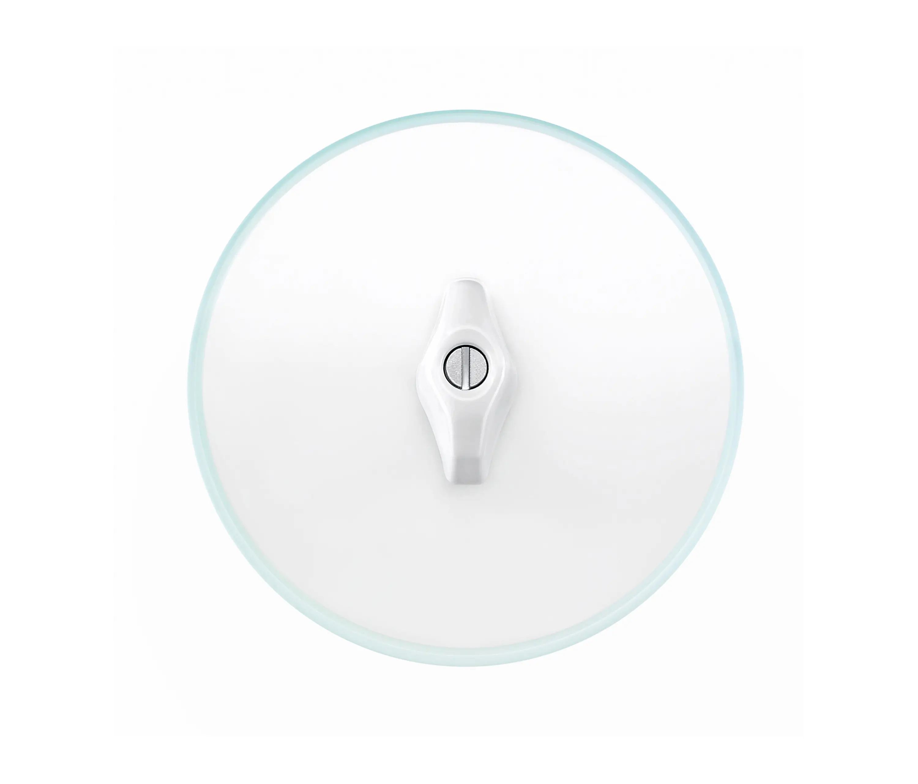 Hager - Berker Serie Glas Schalter