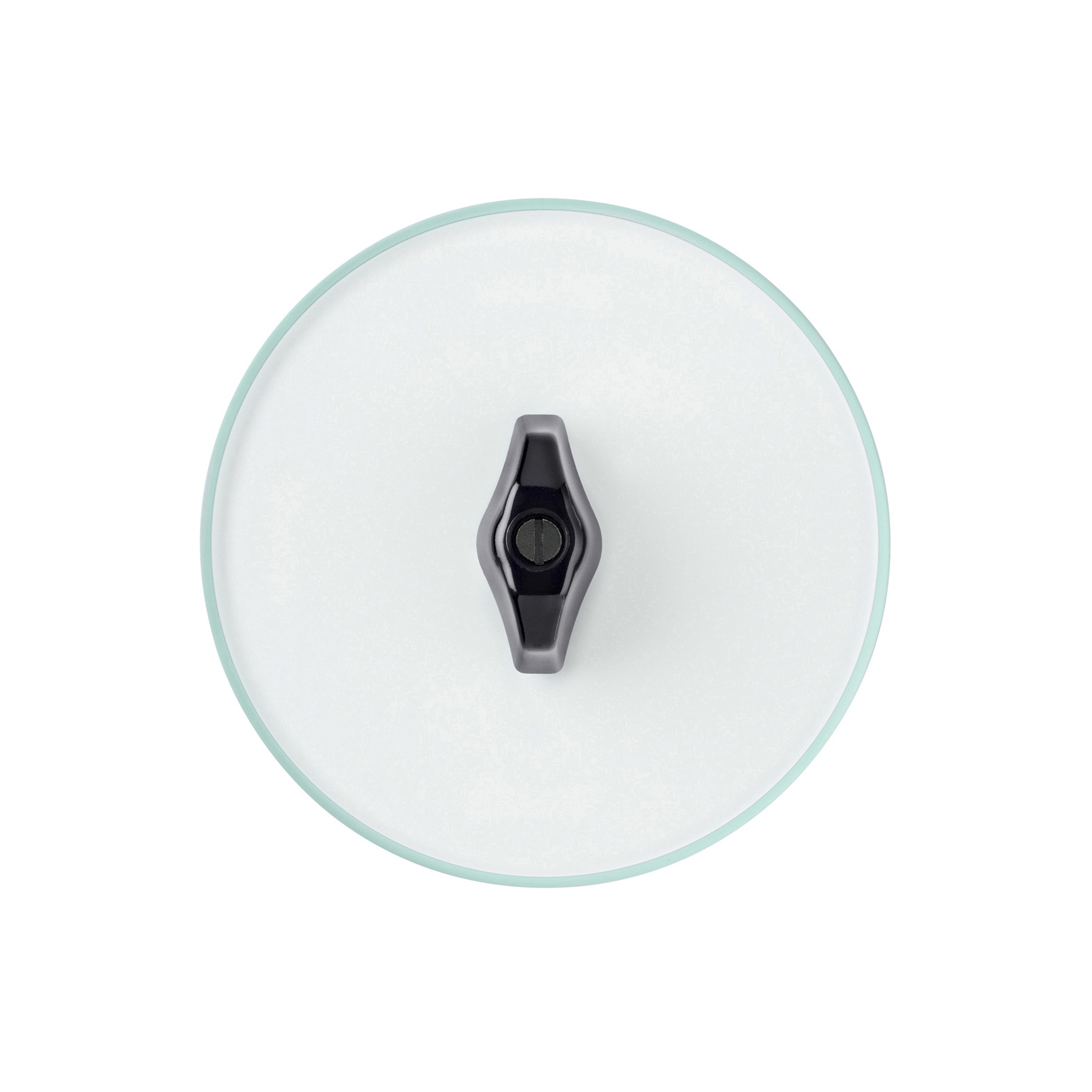 Berker Serie Glas Schalter