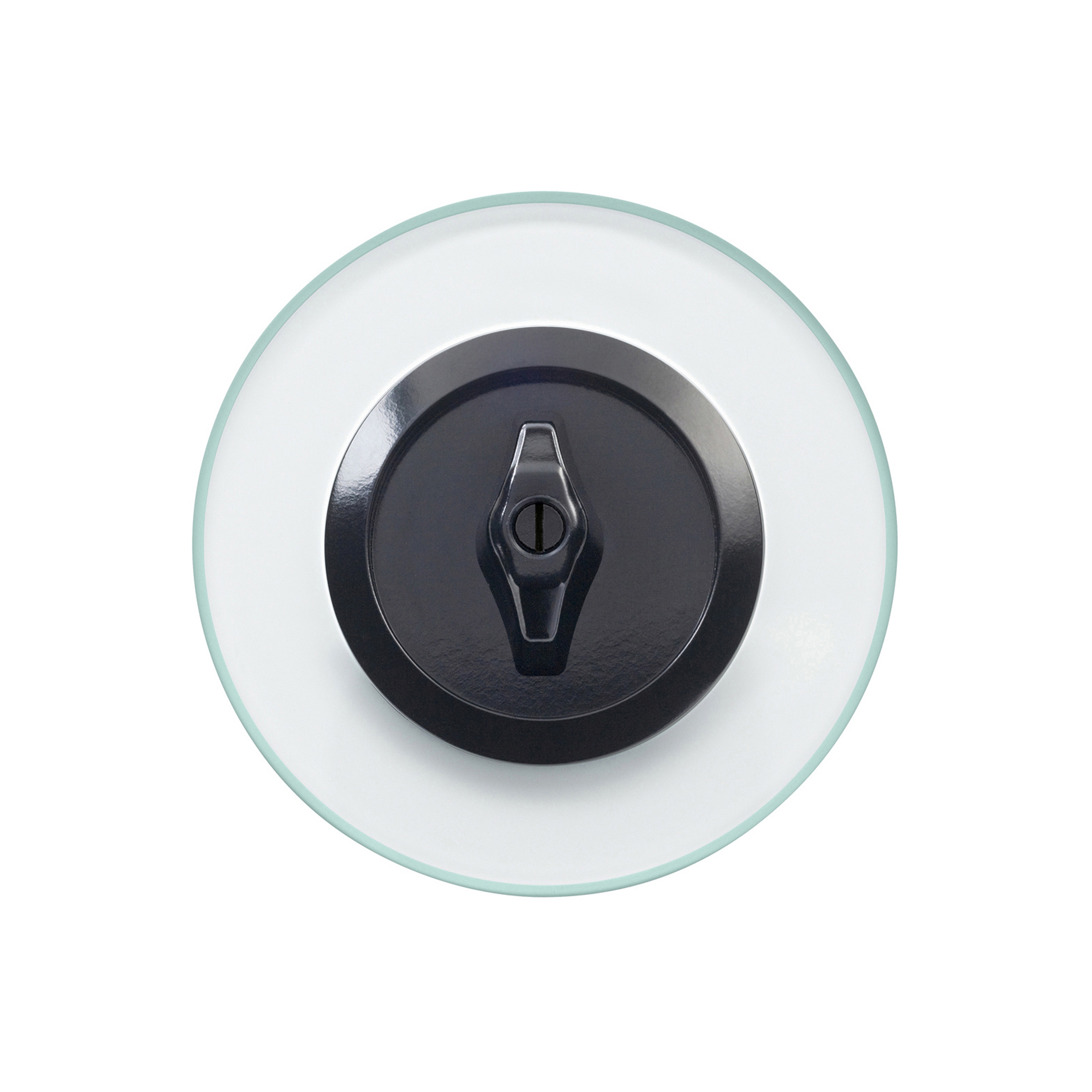 Berker Serie Glas Schalter