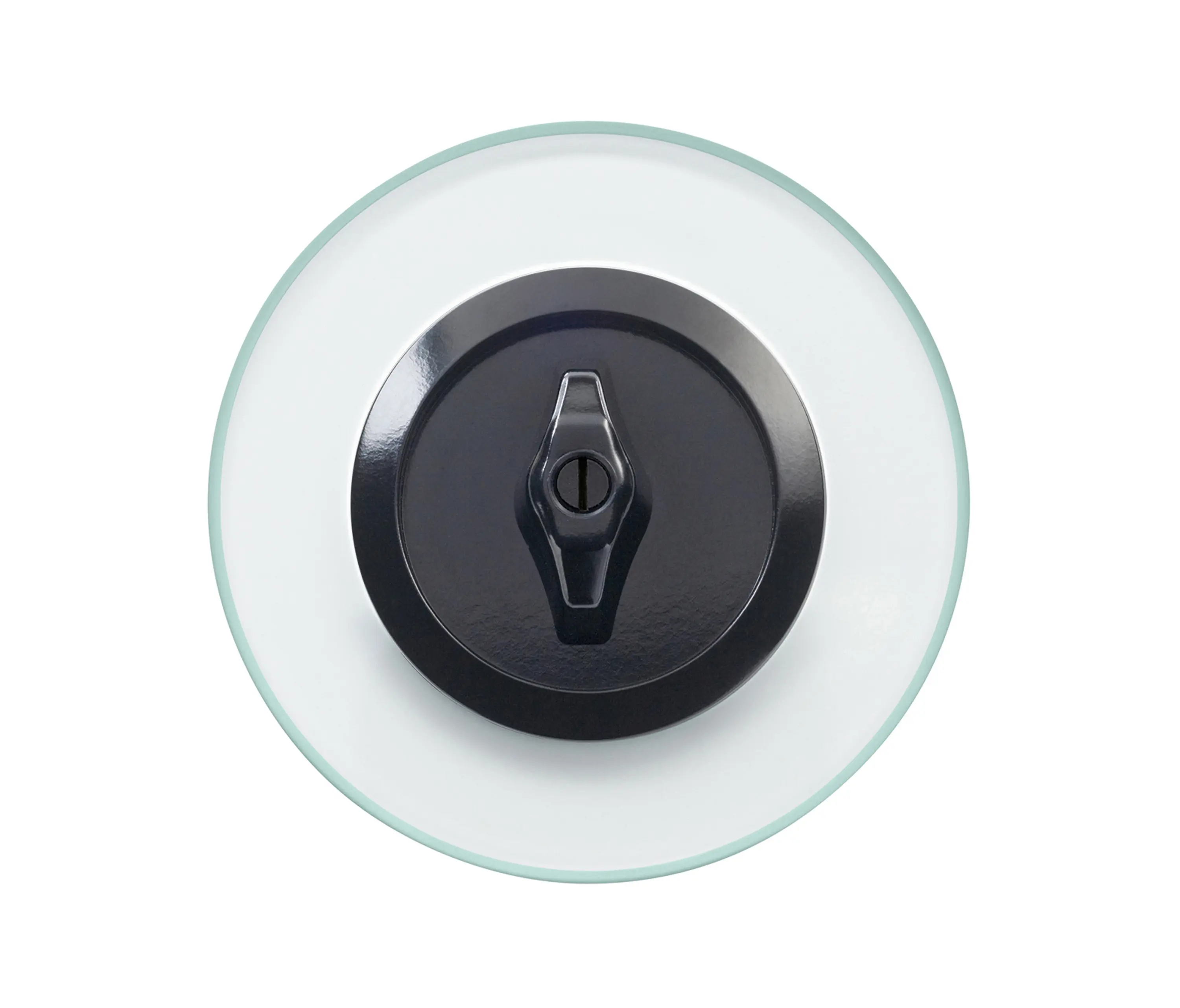 Hager - Berker Serie Glas Schalter