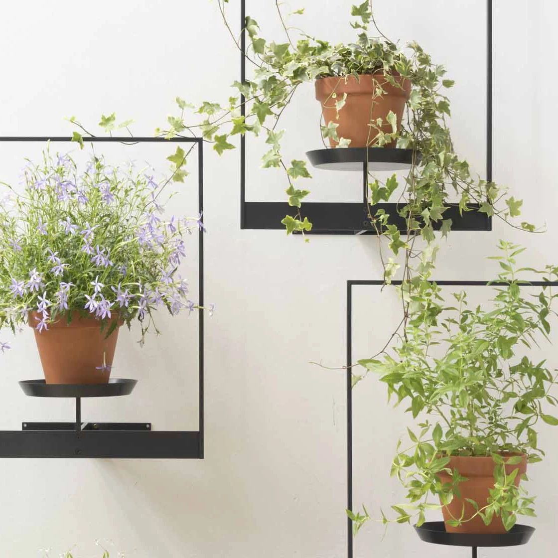 Plant supports and shelves