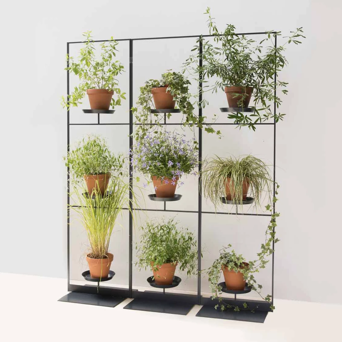 Room partition systems and separators