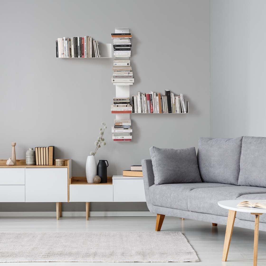 Wall Bookshelves and Bookcases