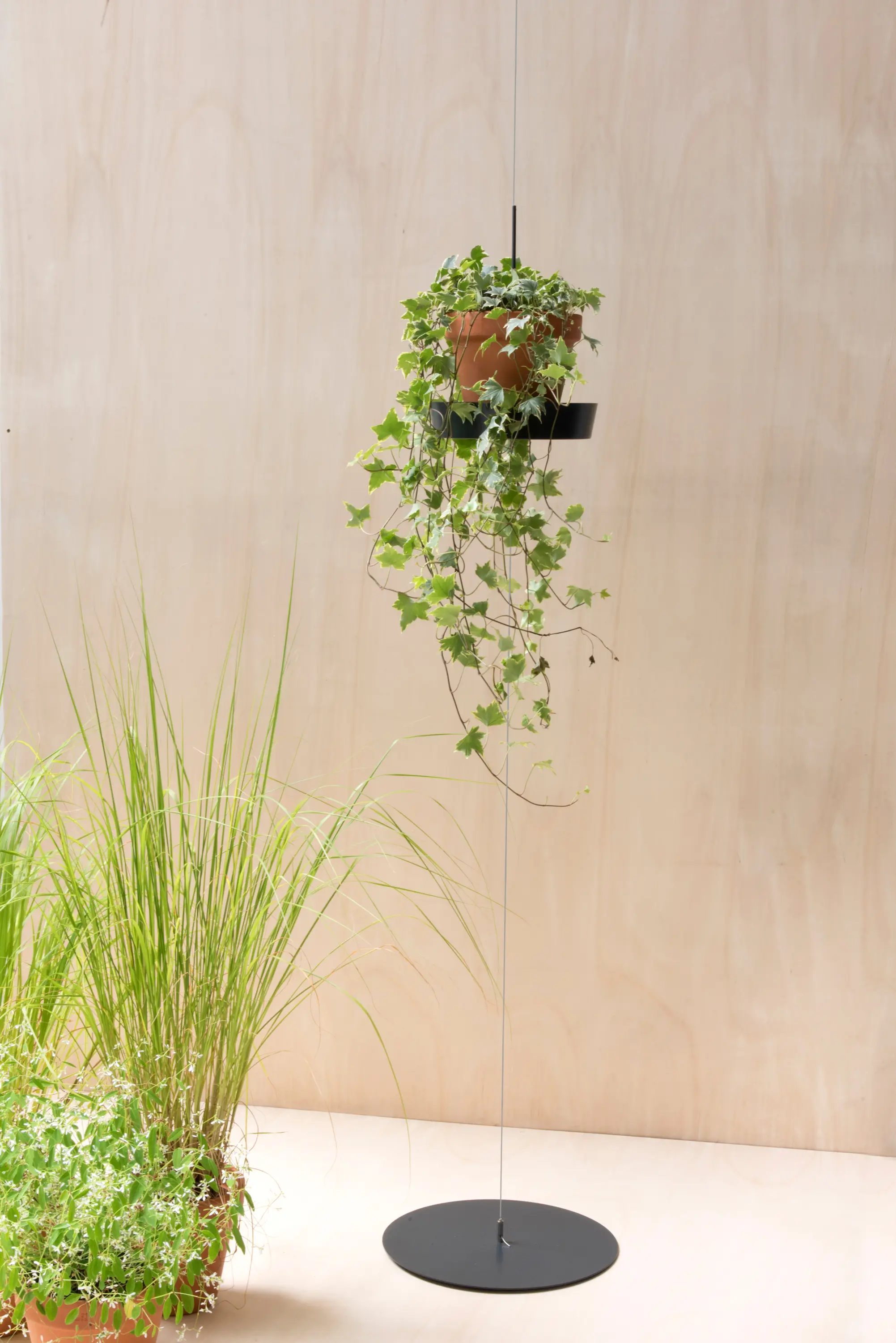 Teebooks - TEEpots Floating Plant Shelf