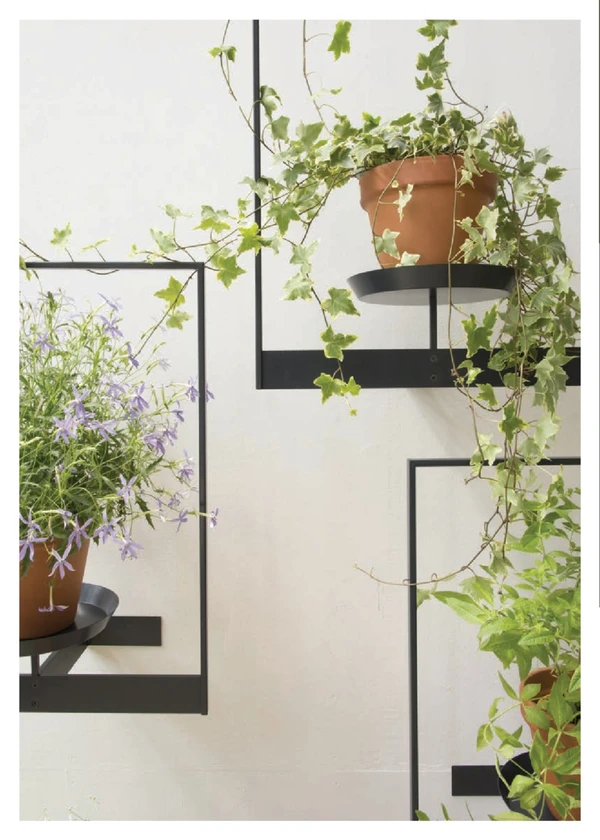 Preview image for the file Plant Supports